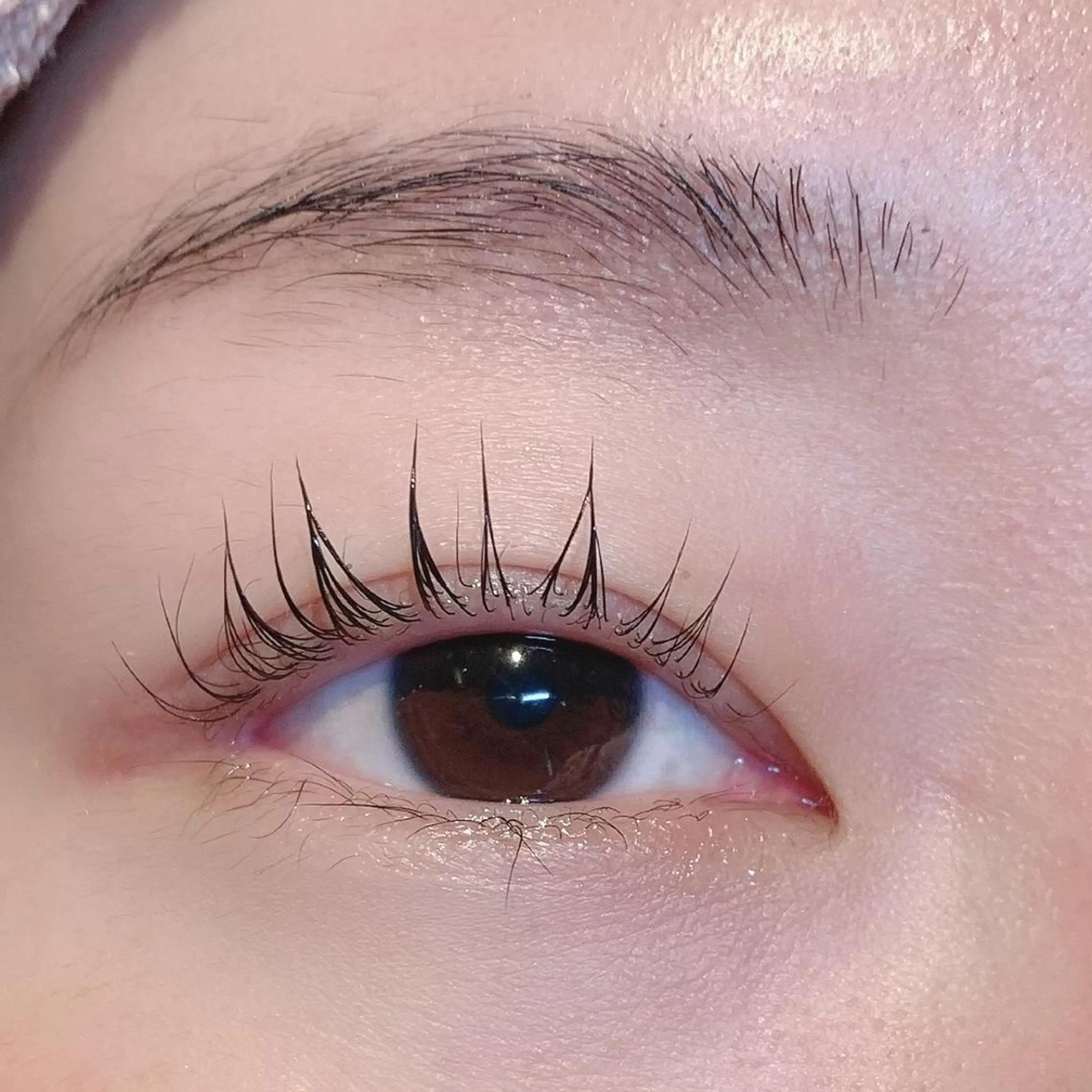 マツエク・マツパ 櫻井 佑美のマツエク・マツパデザイン