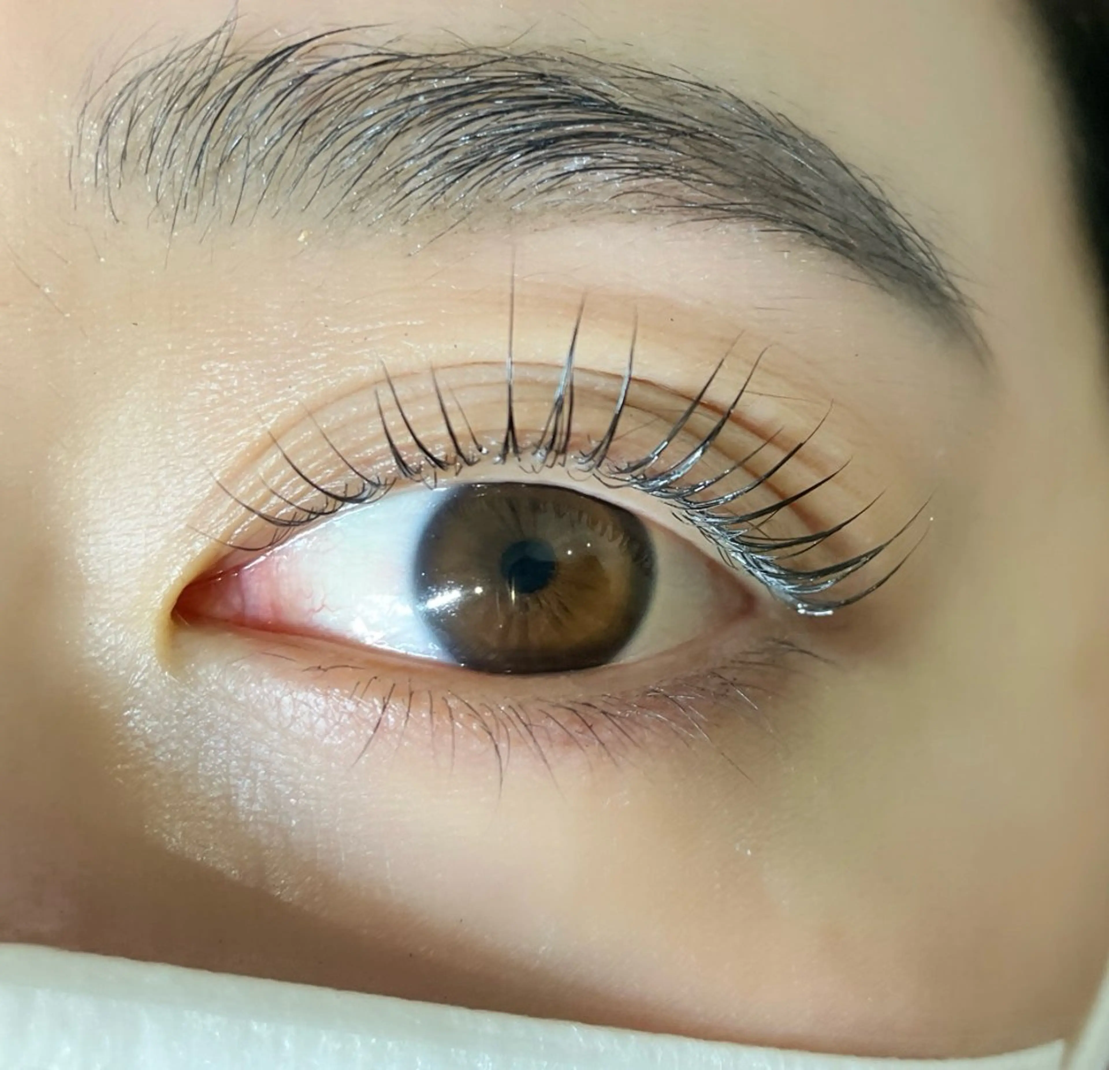 マツエク・マツパ パリジェンヌラッシュリフト Bonita【ボニータ】所属・糸数 玲菜のマツエク・マツパデザイン