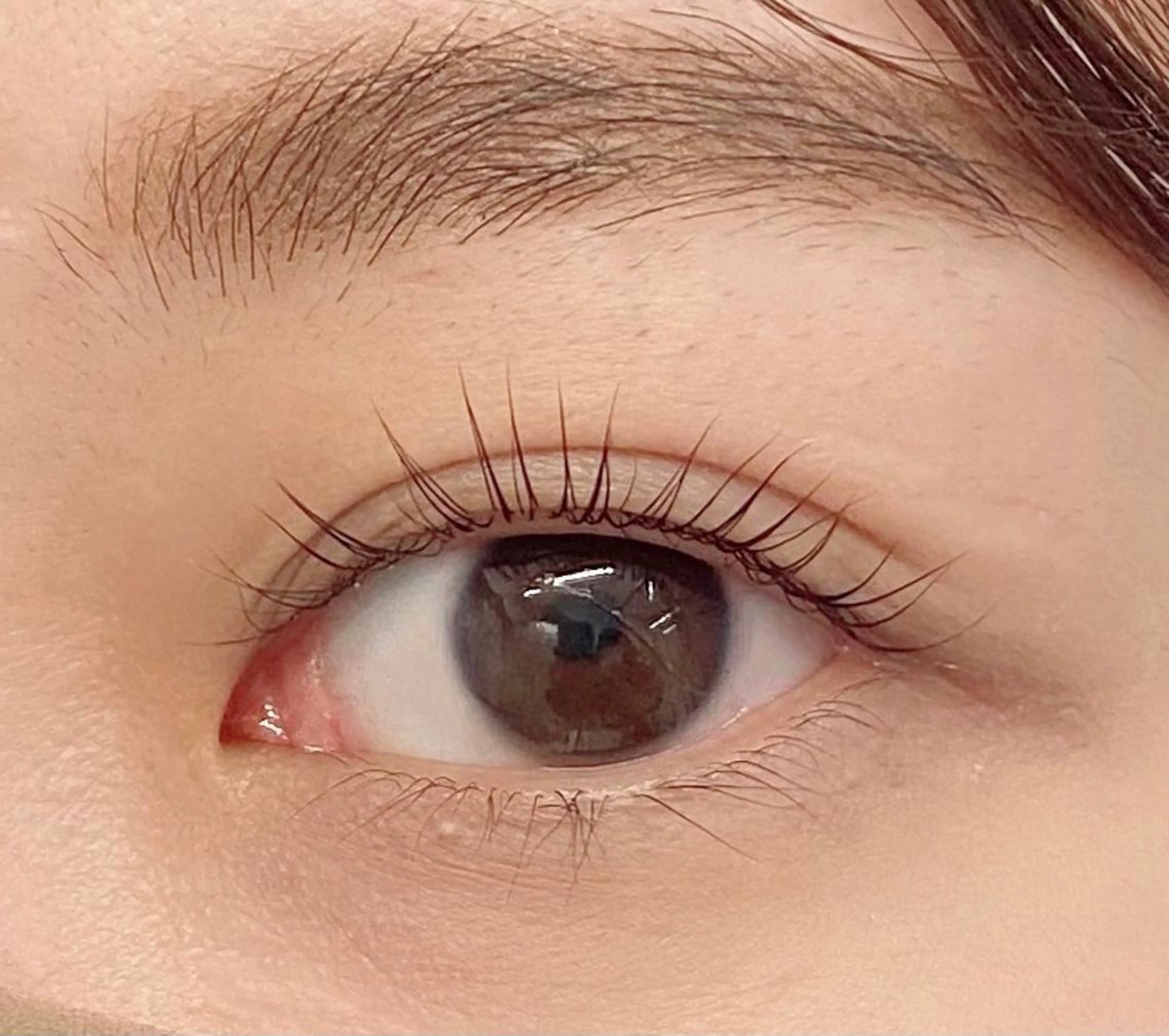 マツエク・マツパ Favori 川上のマツエク・マツパデザイン