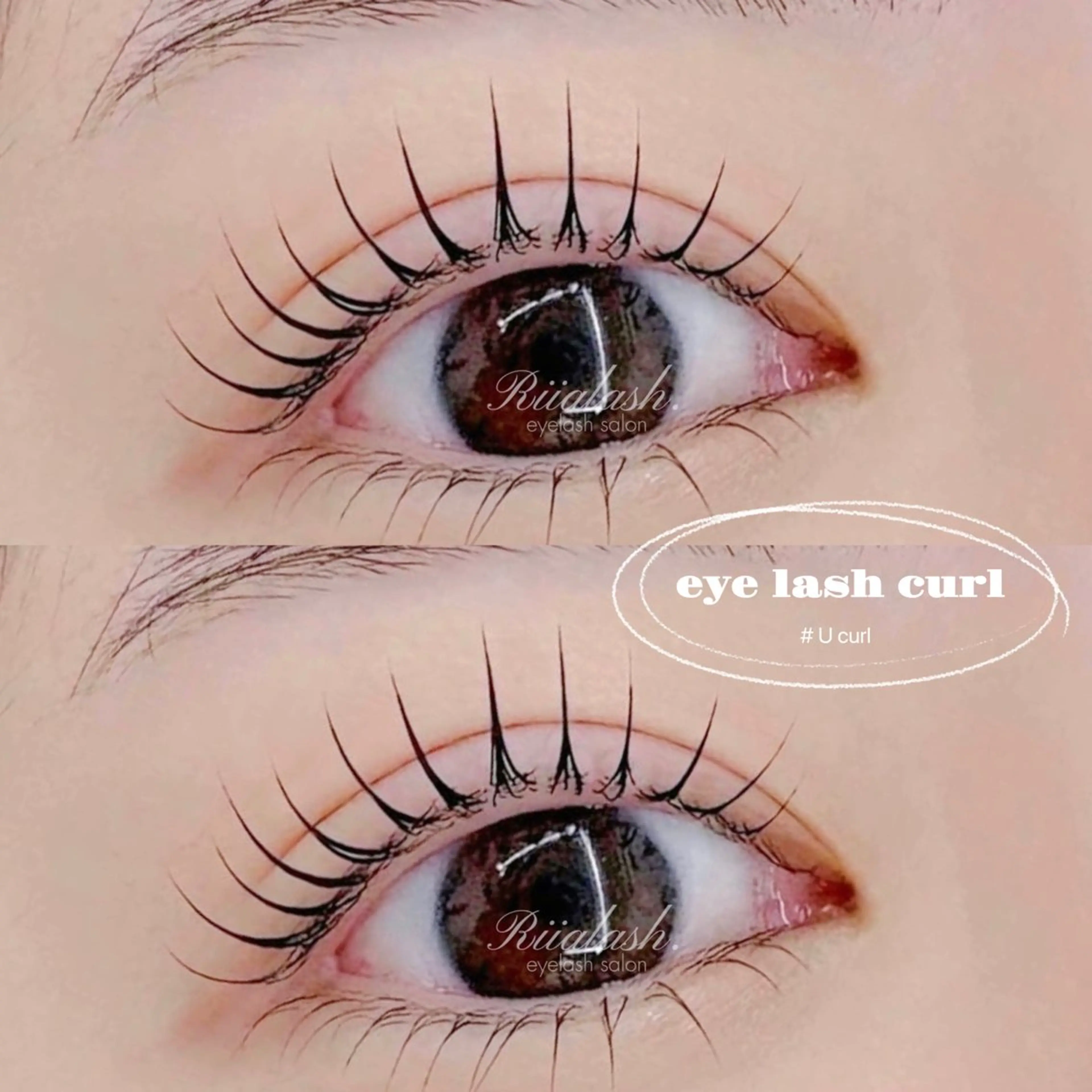 🌻パリジェンヌ/まつ毛パーマ ¥5,490の写真