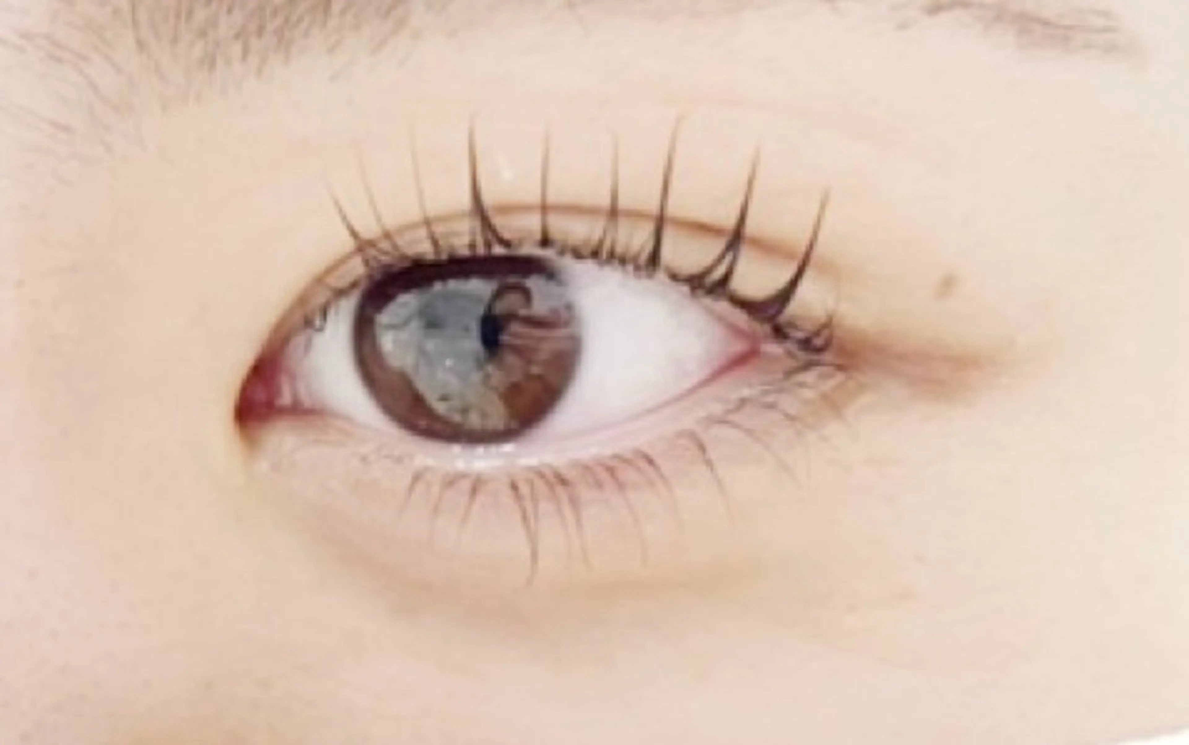 大人気パーマ👀 パリジェンヌラッシュリフト👀根元からしっかり立ち上げます！の写真