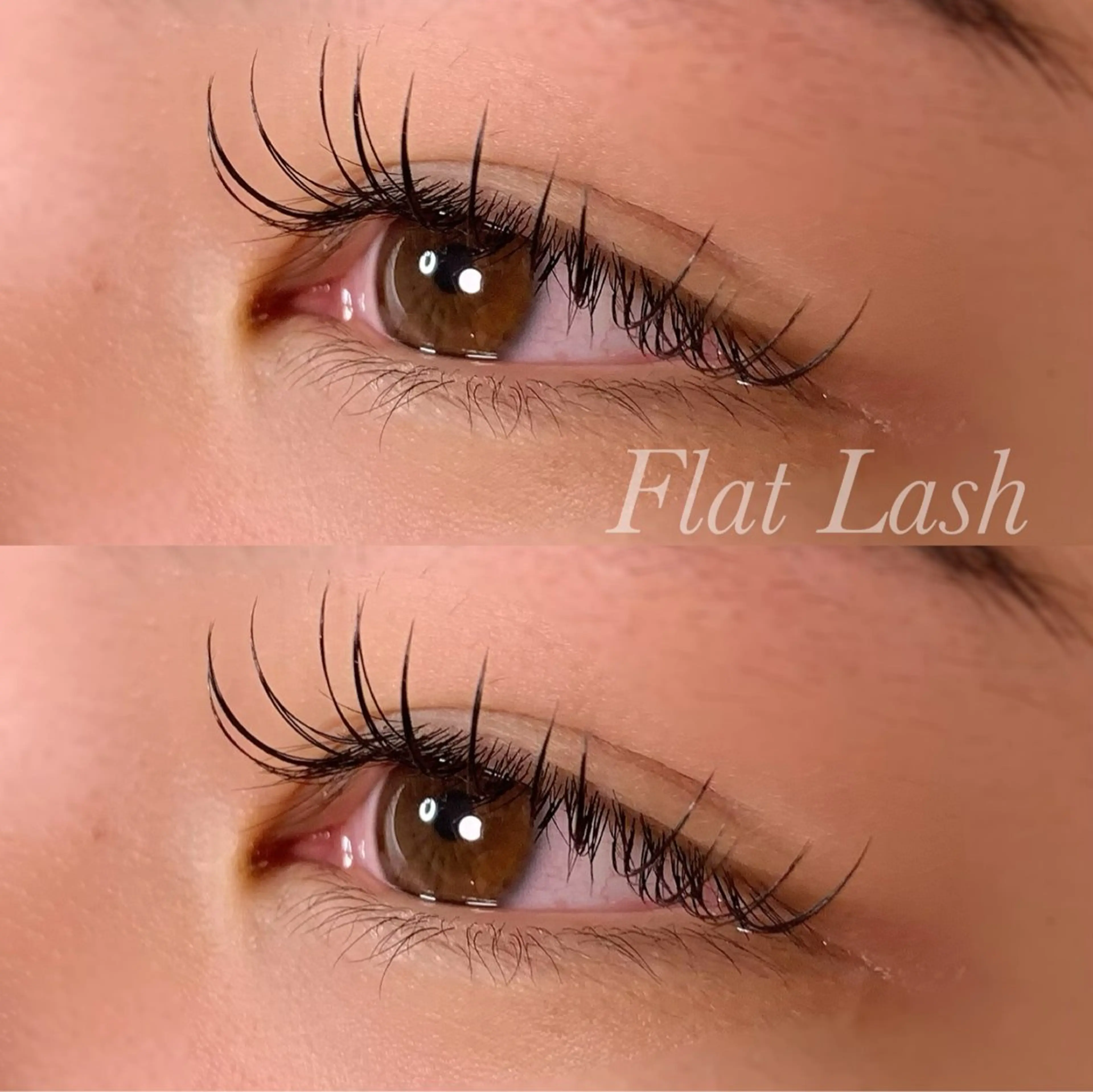 マツエク・マツパ CCカール Cカール フラットラッシュ Ayumi.pro 🍆N《4階》のマツエク・マツパデザイン