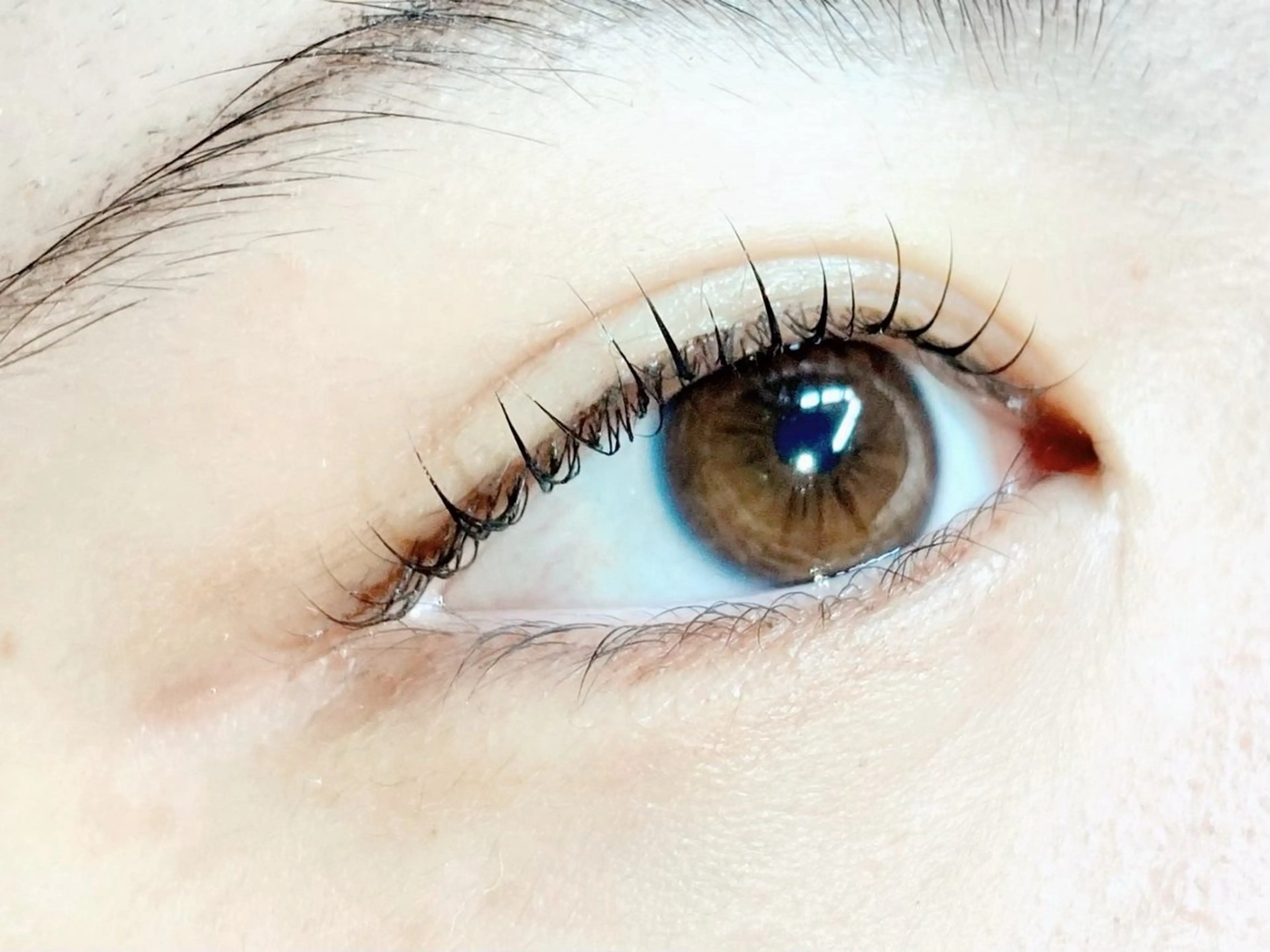 【ご新規様限定価格】《美容液コーティング付き》 🎀似合わせウルラッシュリフト🎀の写真