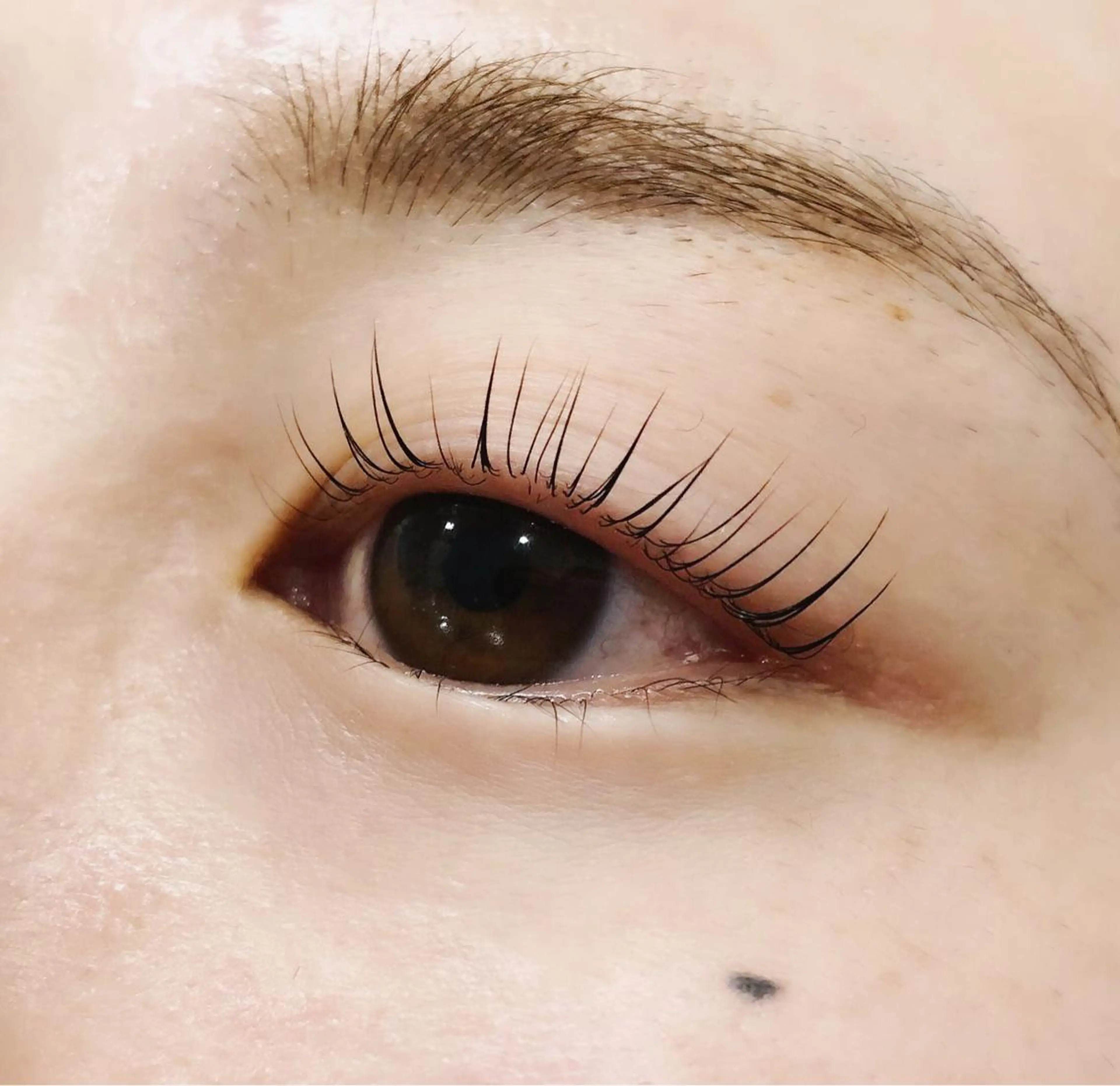 マツエク・マツパ labelta 北千住のマツエク・マツパデザイン