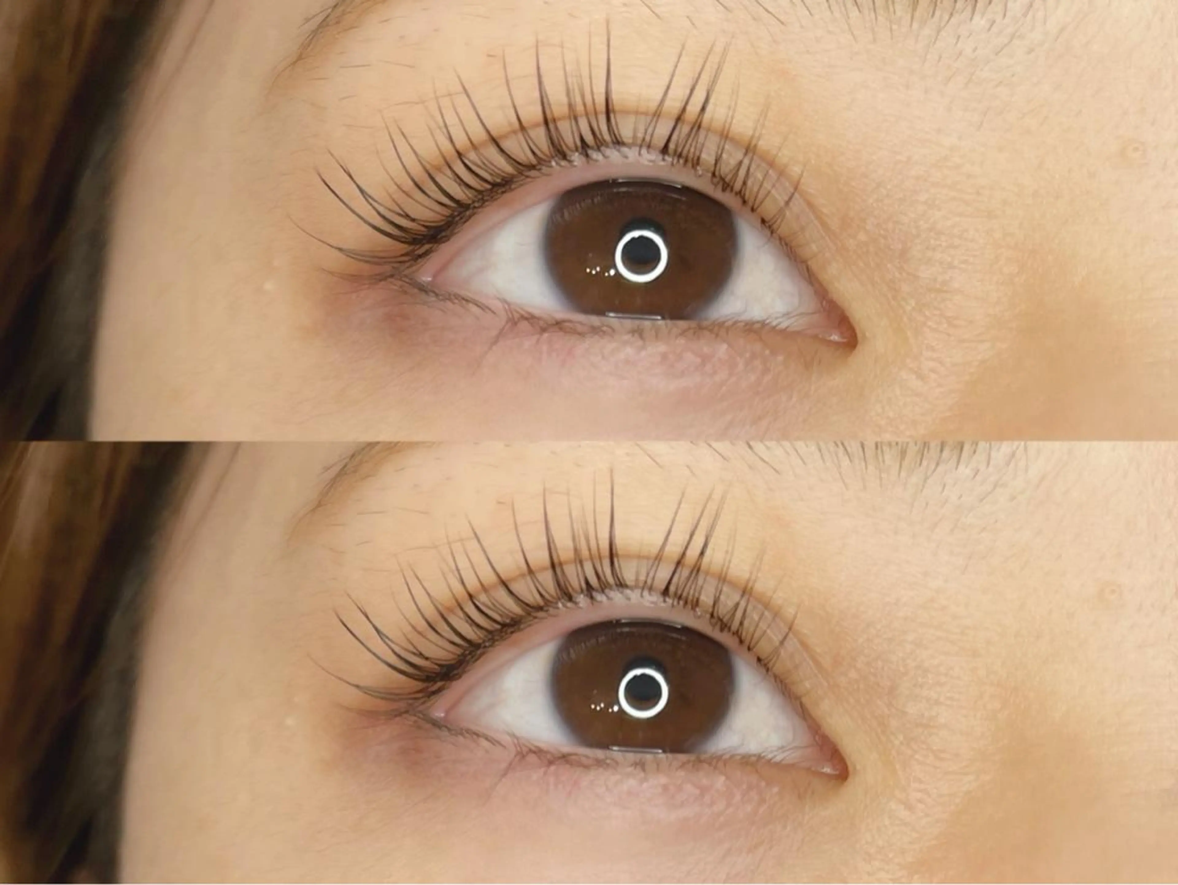 マツエク・マツパ 《eyelash ｉｉｔｅ》森のマツエク・マツパデザイン