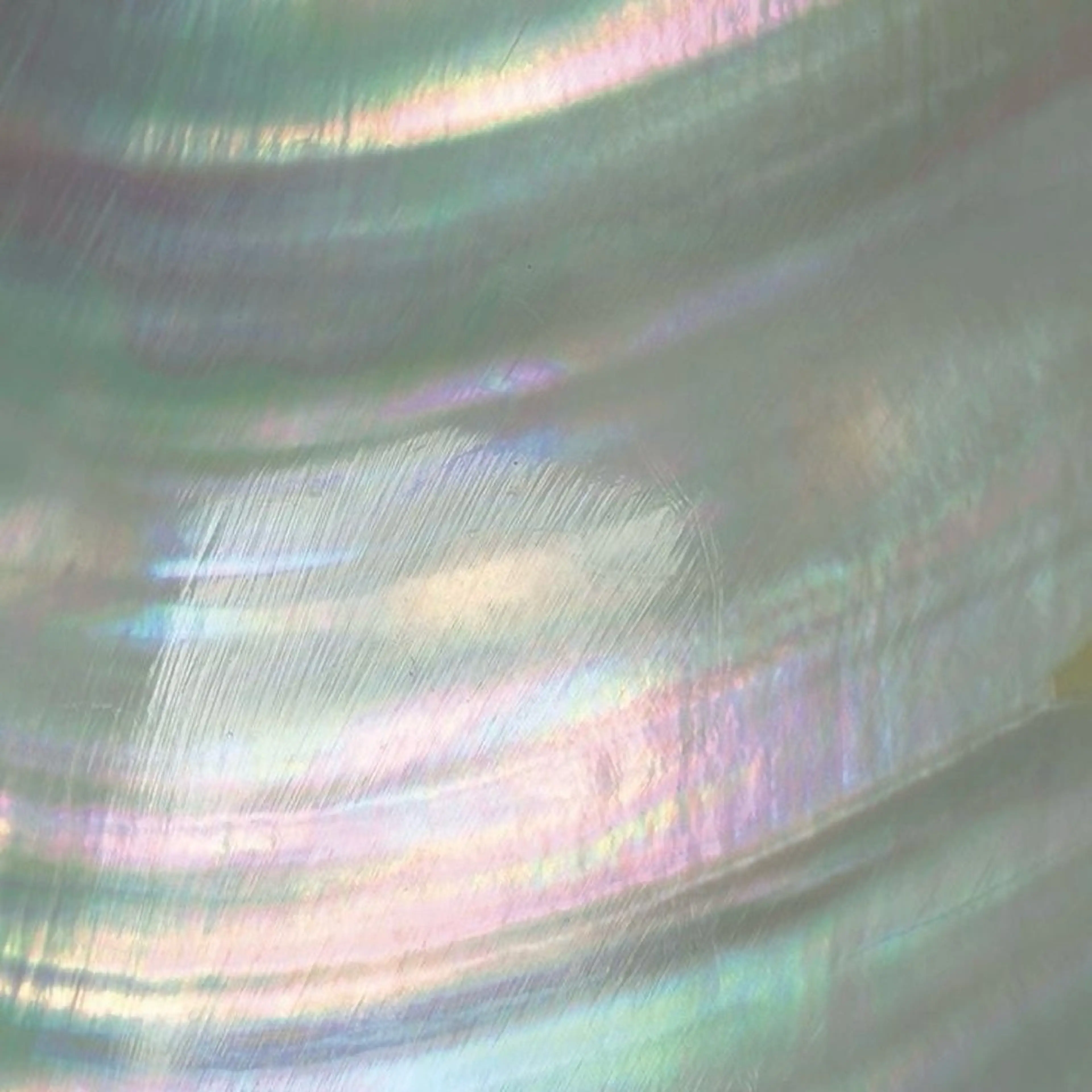 【当店付け替えOffあり】Foot👣┋Magnet / Flash ＋ One Color┋の写真