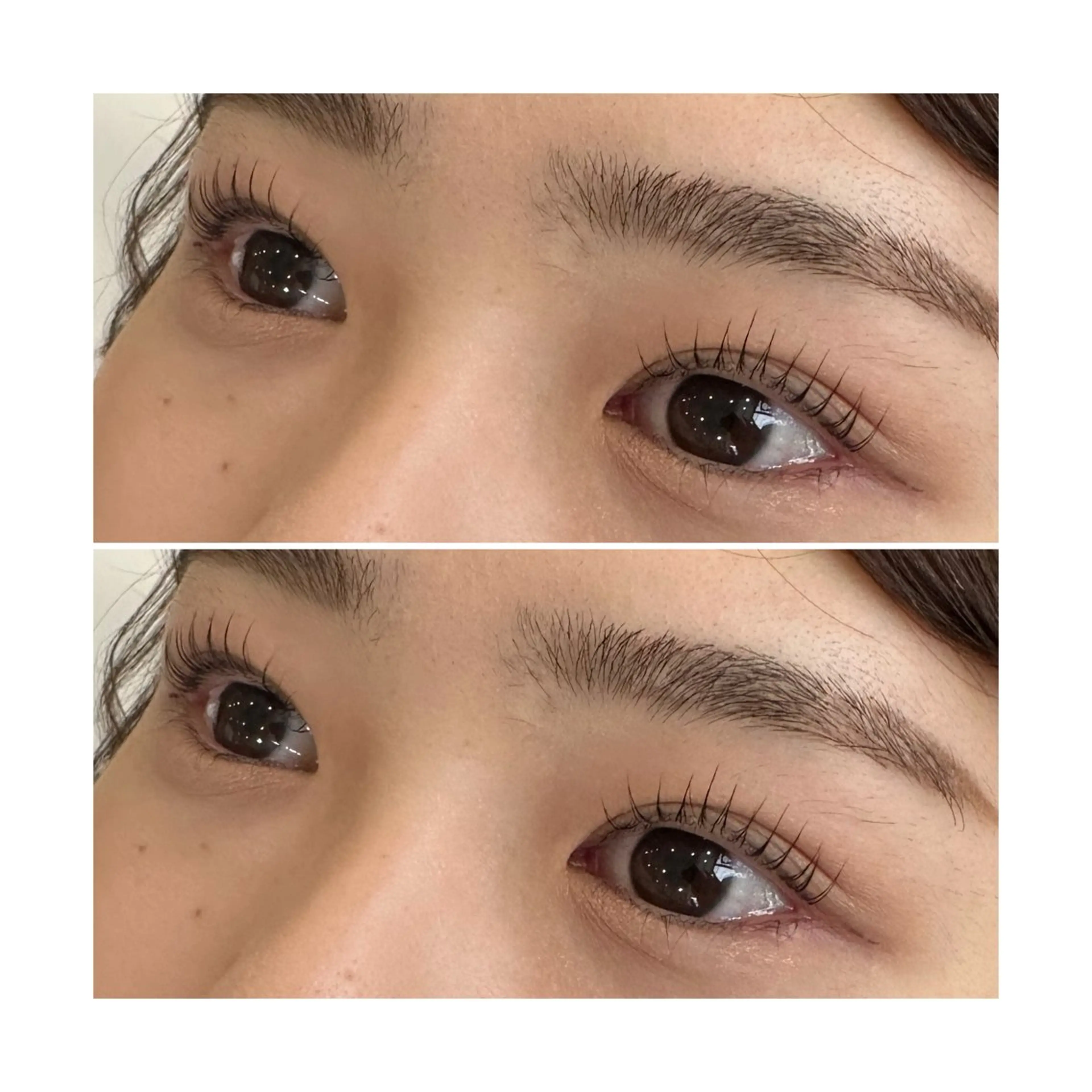 【まつ毛パーマ】or【パリジェンヌ】コーティング付🦋の写真