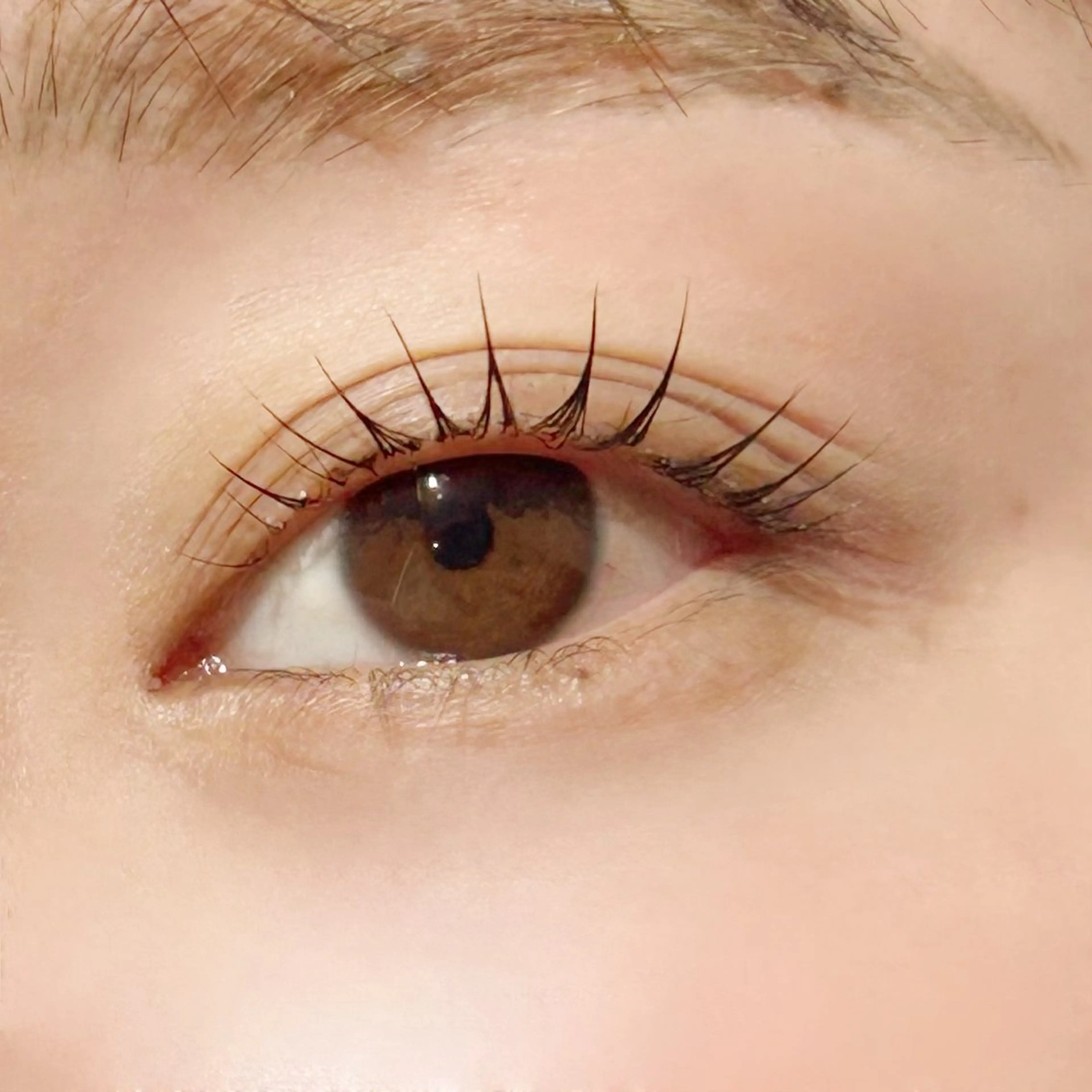 マツエク・マツパ rino✴︎/まつげ ＊まゆげ/韓国のマツエク・マツパデザイン