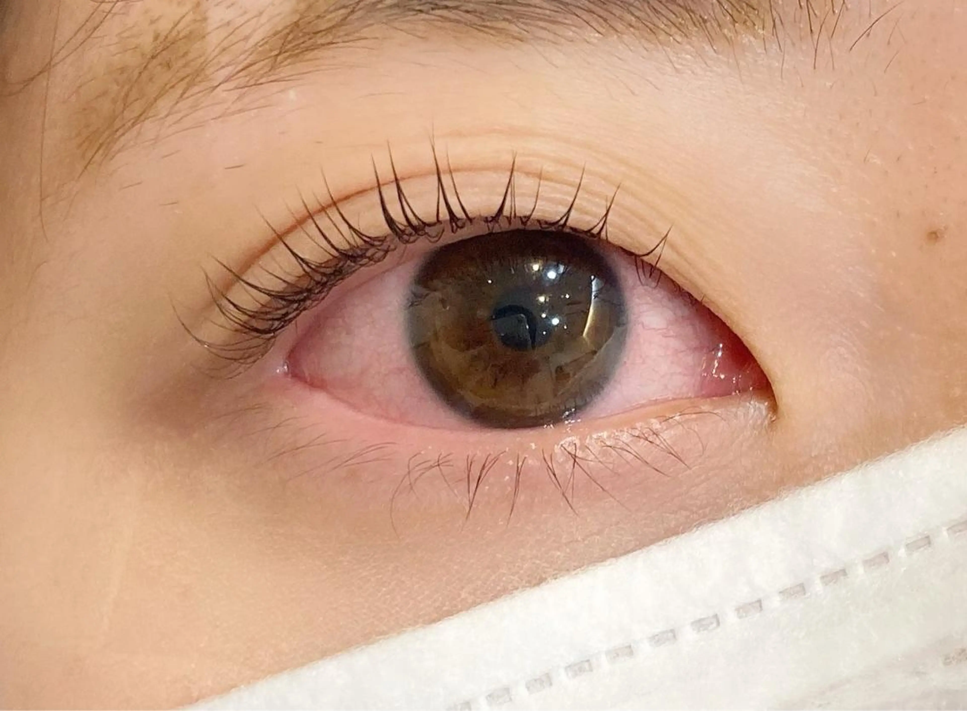 マツエク・マツパ パリジェンヌラッシュリフト 𓊆ᶠᵉᵉʸ𓊇 ᶜᴴᴵᴴᴬᴿᵁのマツエク・マツパデザイン