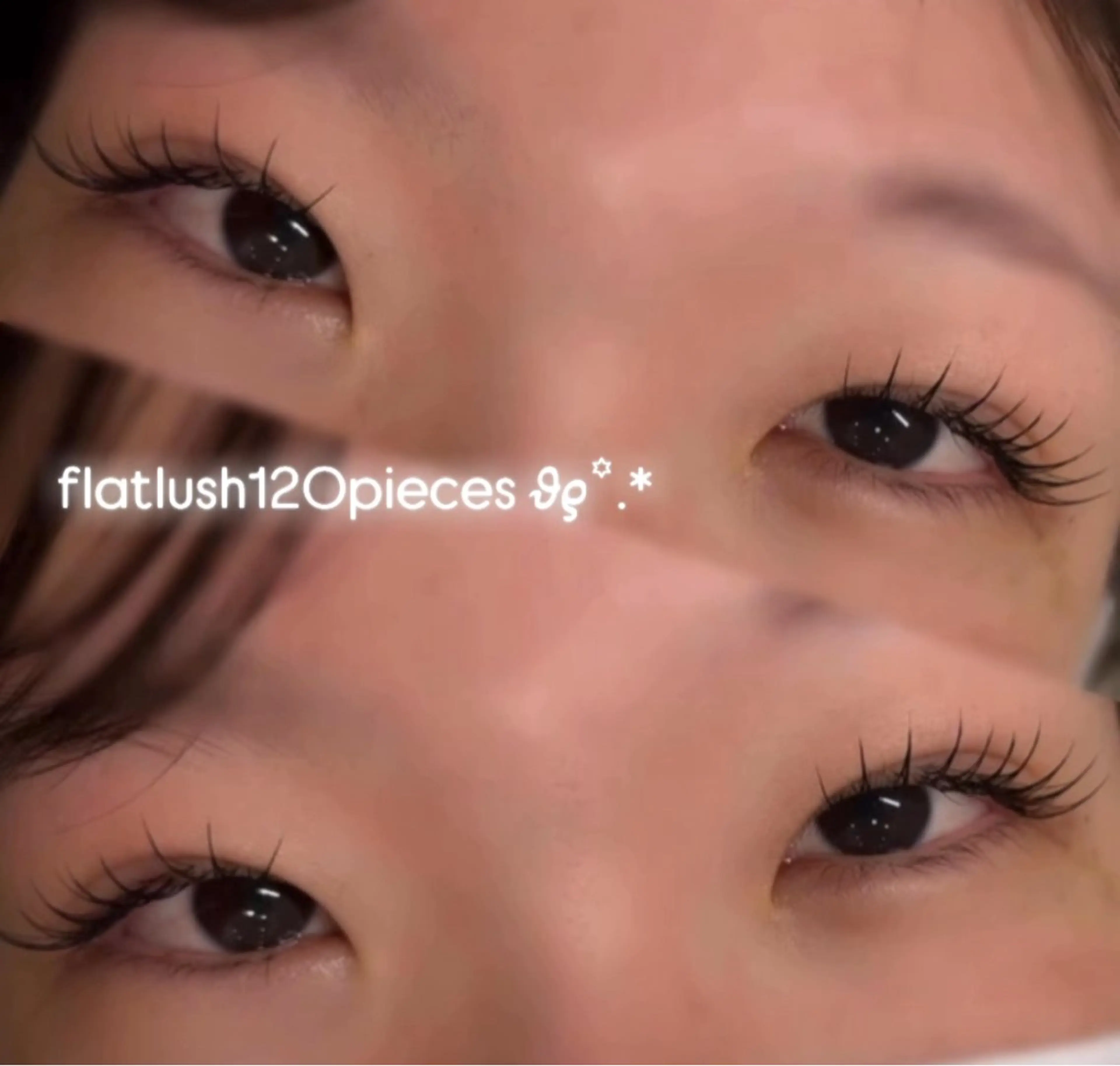 【再来】シングルラッシュ🌷80～120本（オフがある方は事前にお知らせ下さい！）の写真