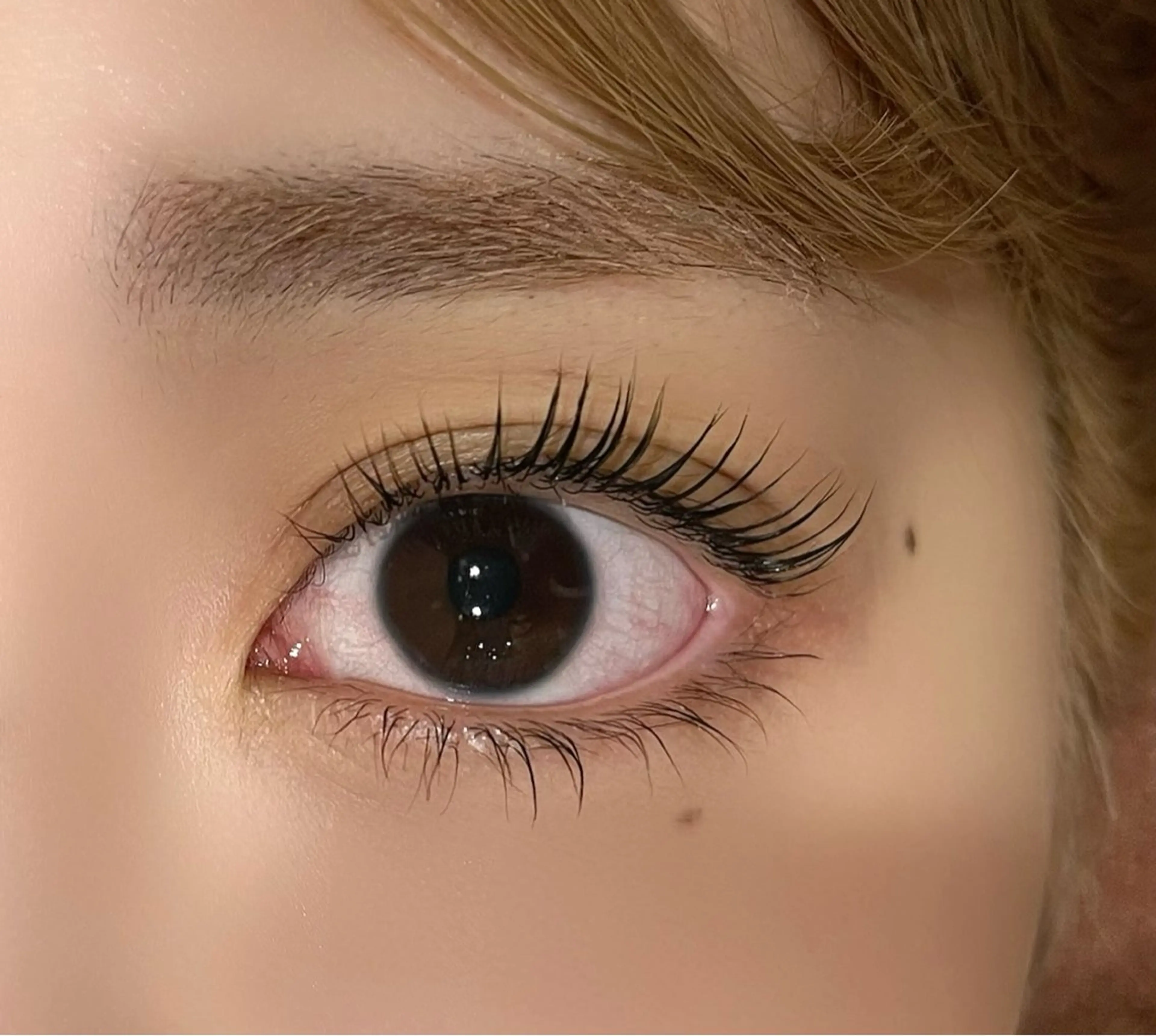 マツエク・マツパ yuina ‪‪🎀のマツエク・マツパデザイン