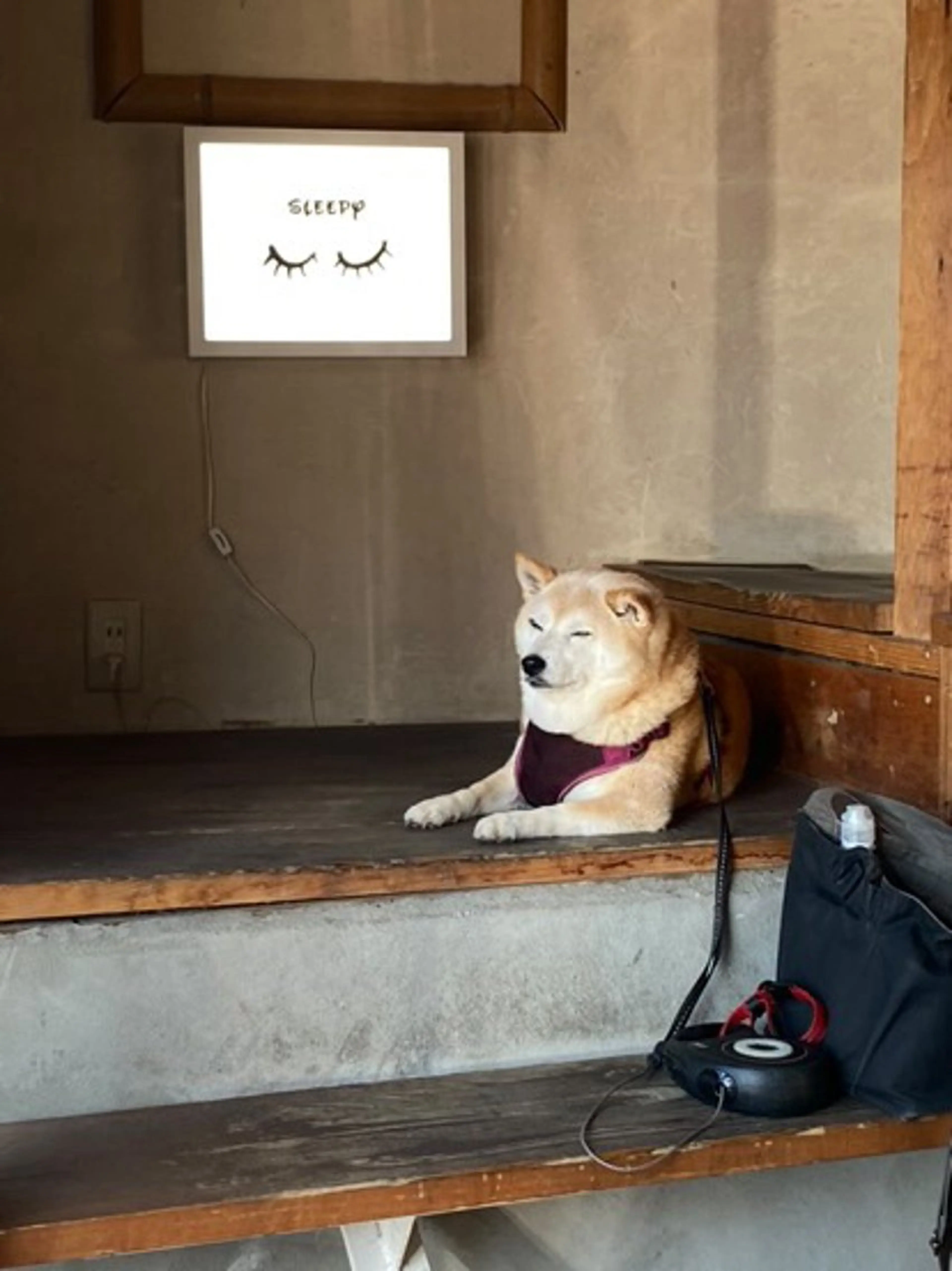 SLEEPY所属・葉山アイラッシュ サロン SLEEPYのマツエク・マツパデザイン