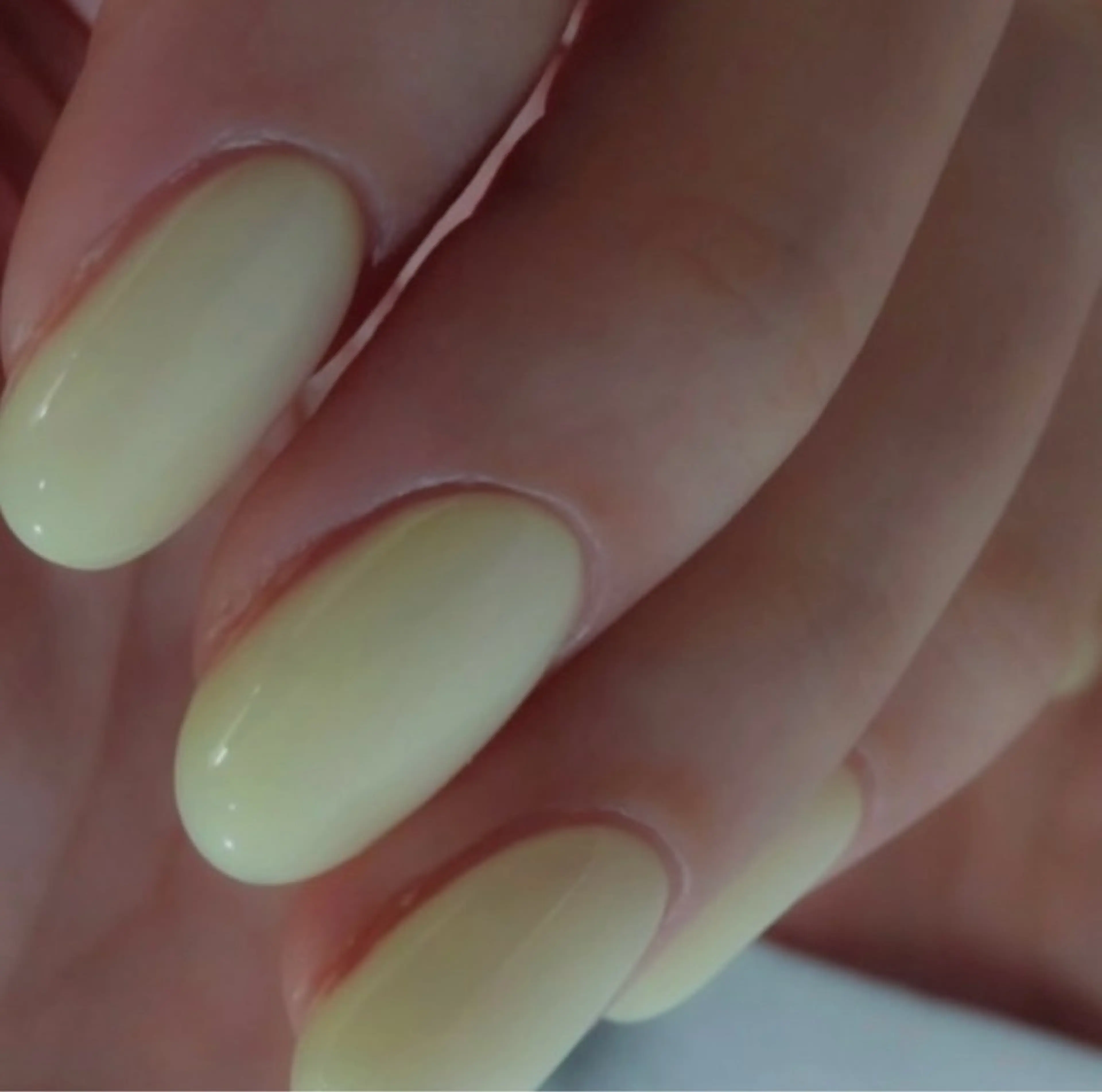 ワンカラー　オフありの写真