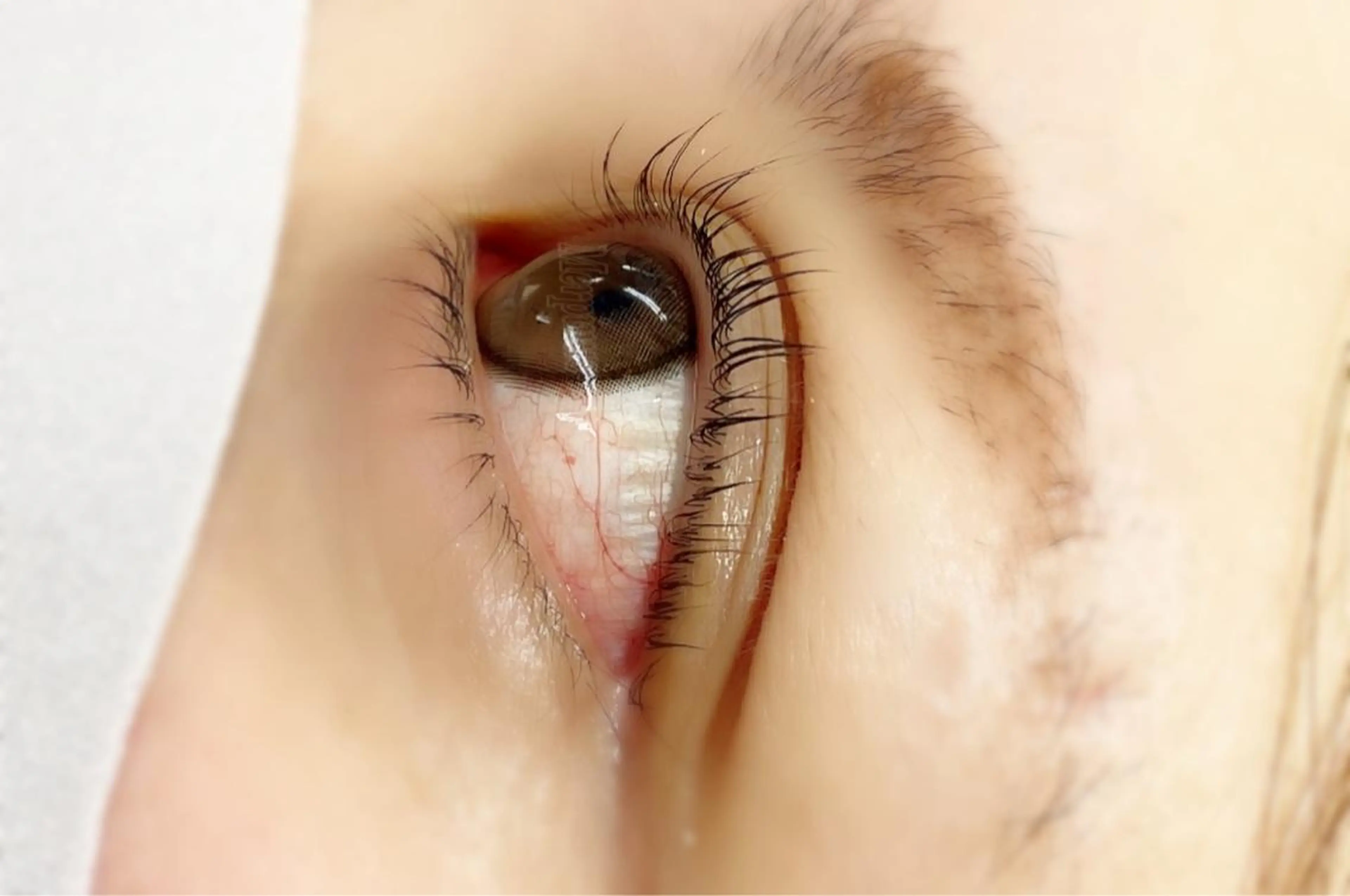 マツエク・マツパ パリジェンヌラッシュリフト Eyelash salon kukuna所属・まつ毛サロン Kukunaのマツエク・マツパデザイン