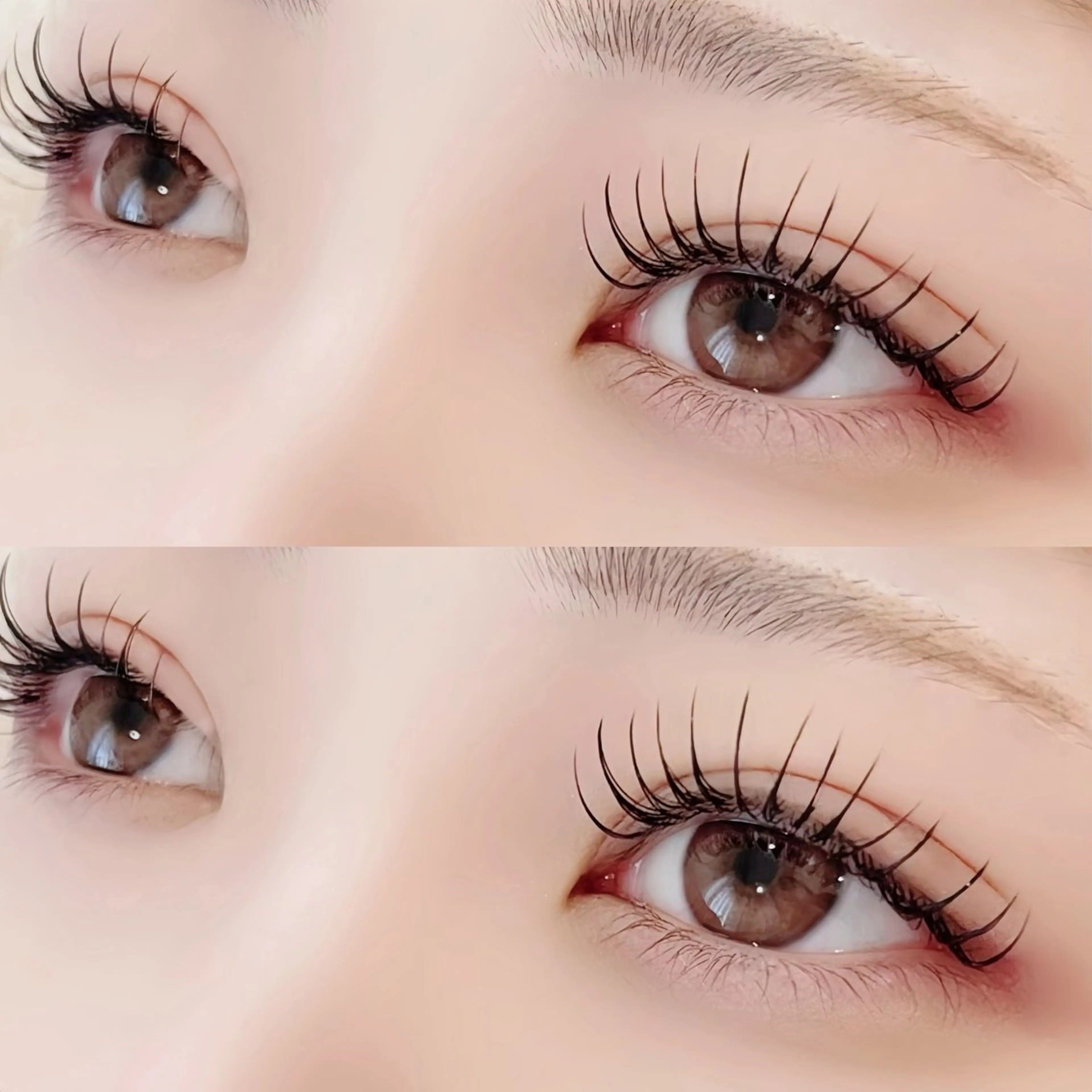 マツエク・マツパ フラットラッシュ sofa￤束感まつ毛 Rena🏹のマツエク・マツパデザイン