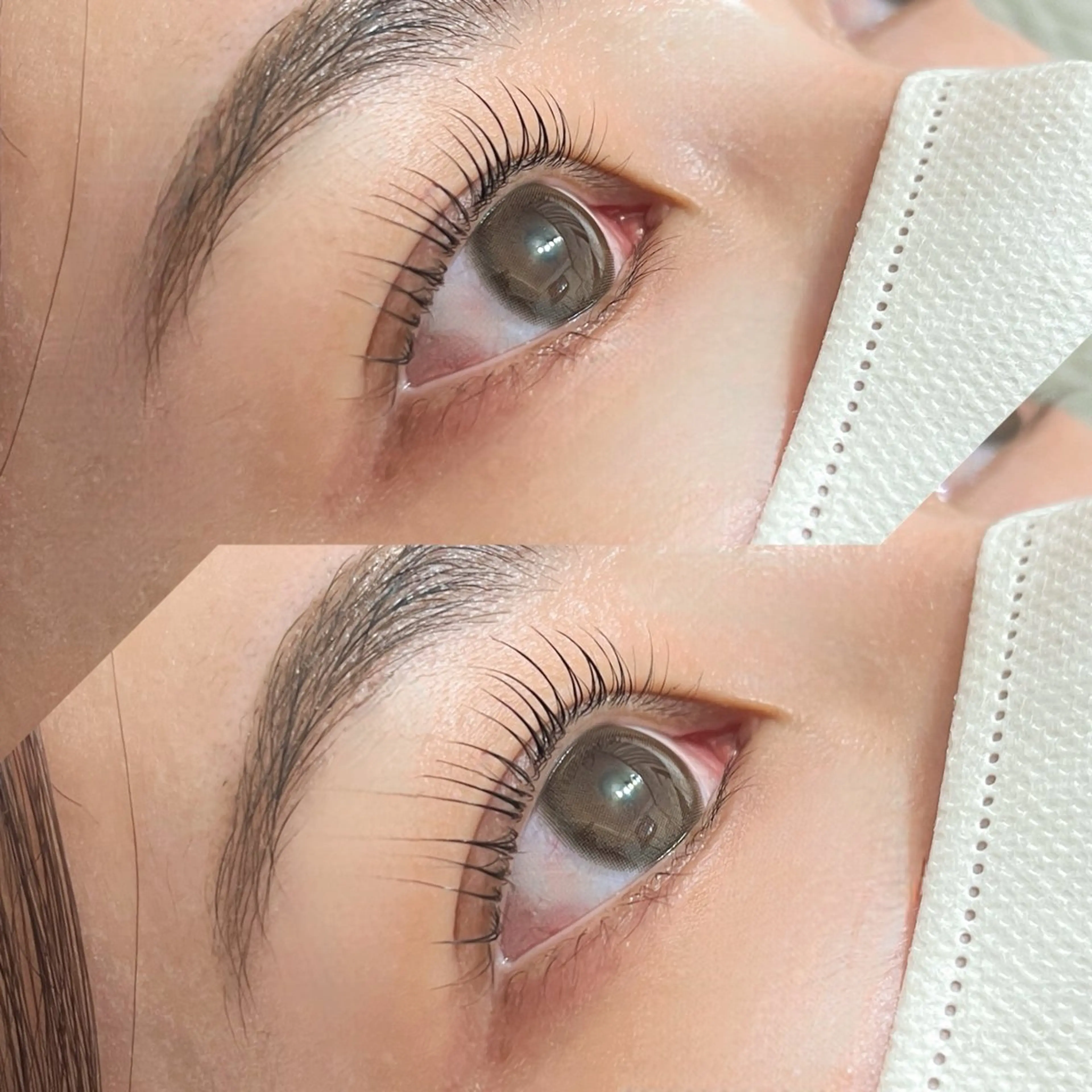 マツエク・マツパ まつげパーマ マツパ 【カメレオン】 しょうた  みくꨄのヘアスタイル