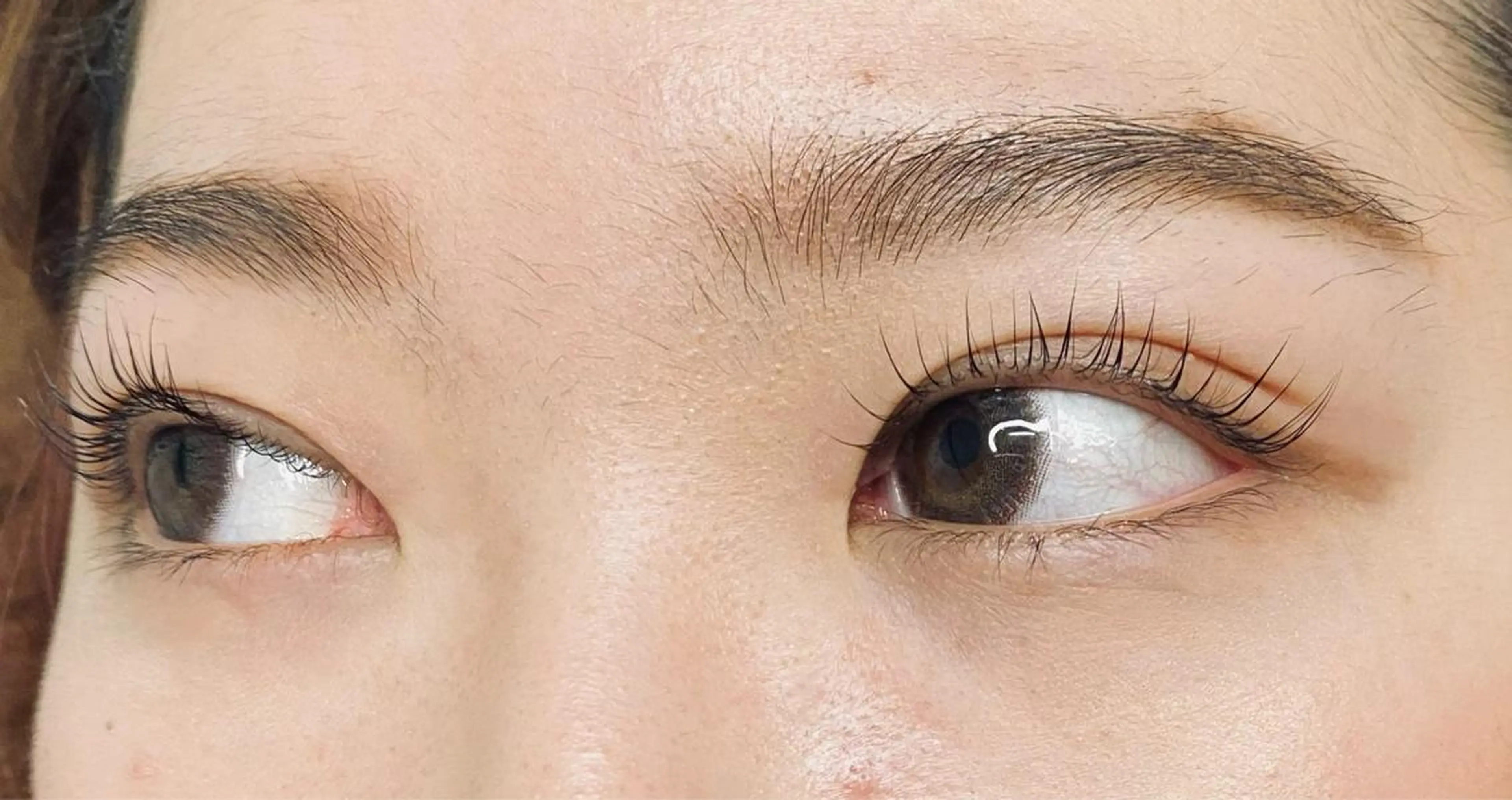 パリジェンヌラッシュリフト✨アイシャンプー&トリートメント付き✨初回オフ無料✨の写真