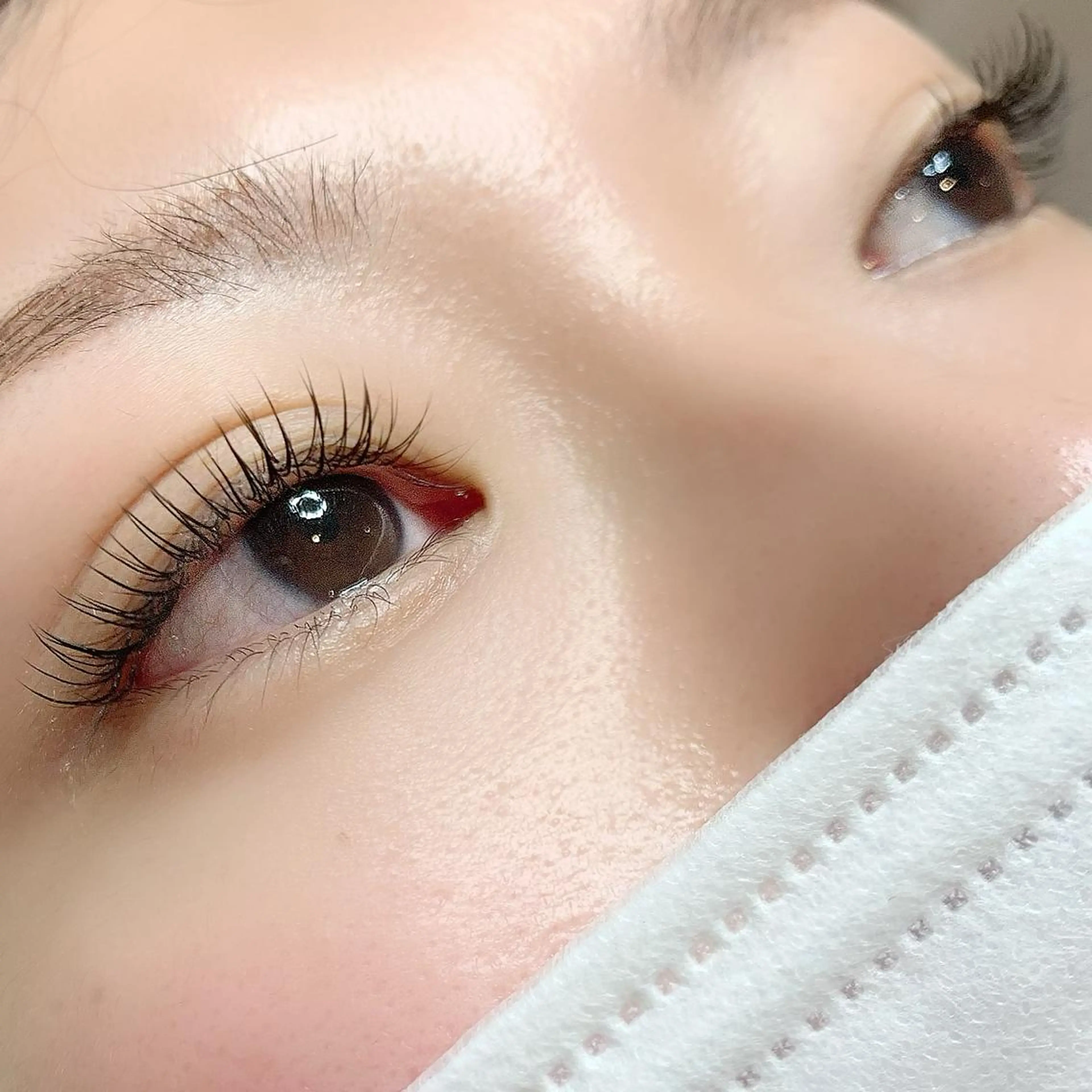 マツエク・マツパ Cカール カラーマツエク フラットラッシュ AYLASH石川 韓国風/カラエクのマツエク・マツパデザイン