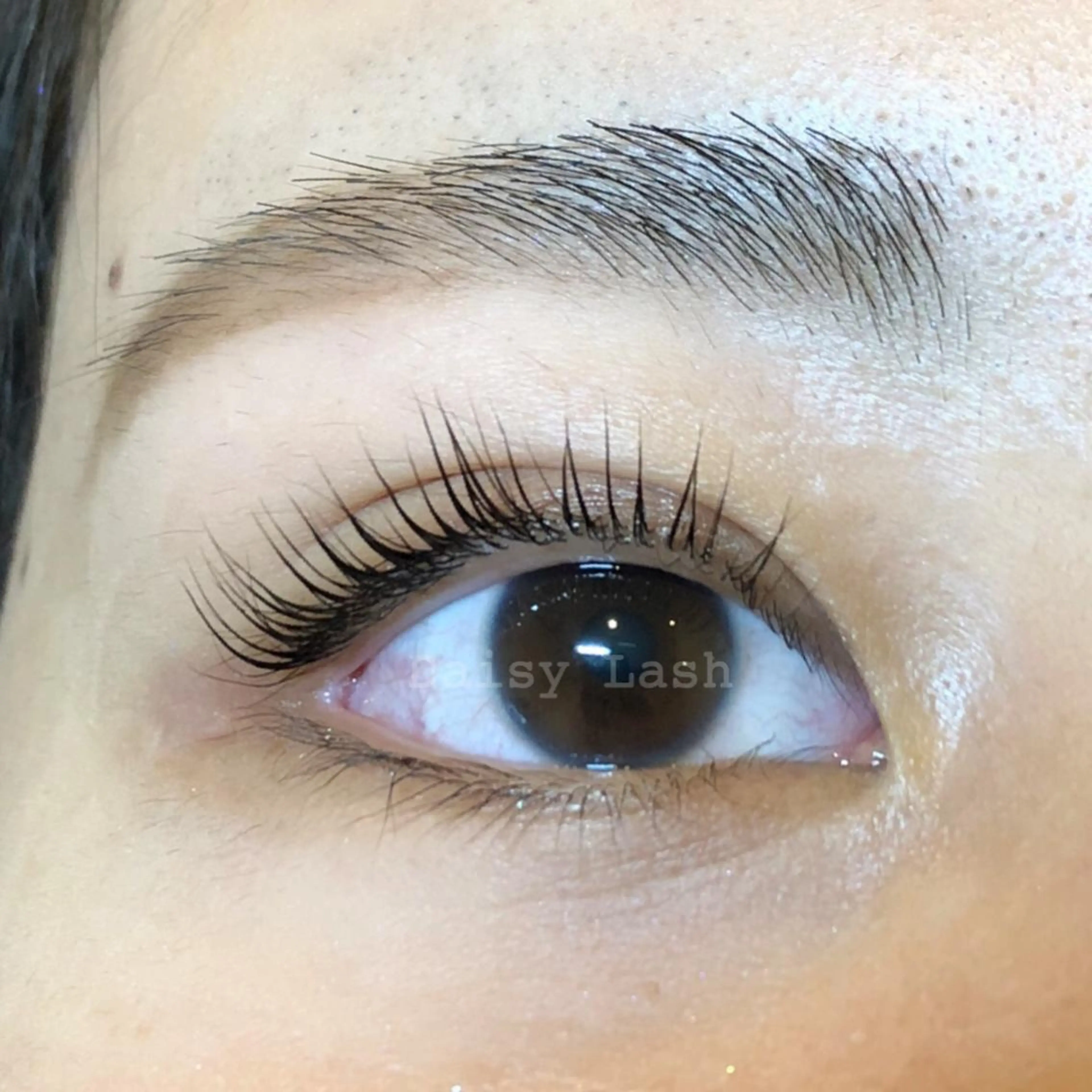 マツエク・マツパ パリジェンヌラッシュリフト Daisy Lash 梅田本店のマツエク・マツパデザイン