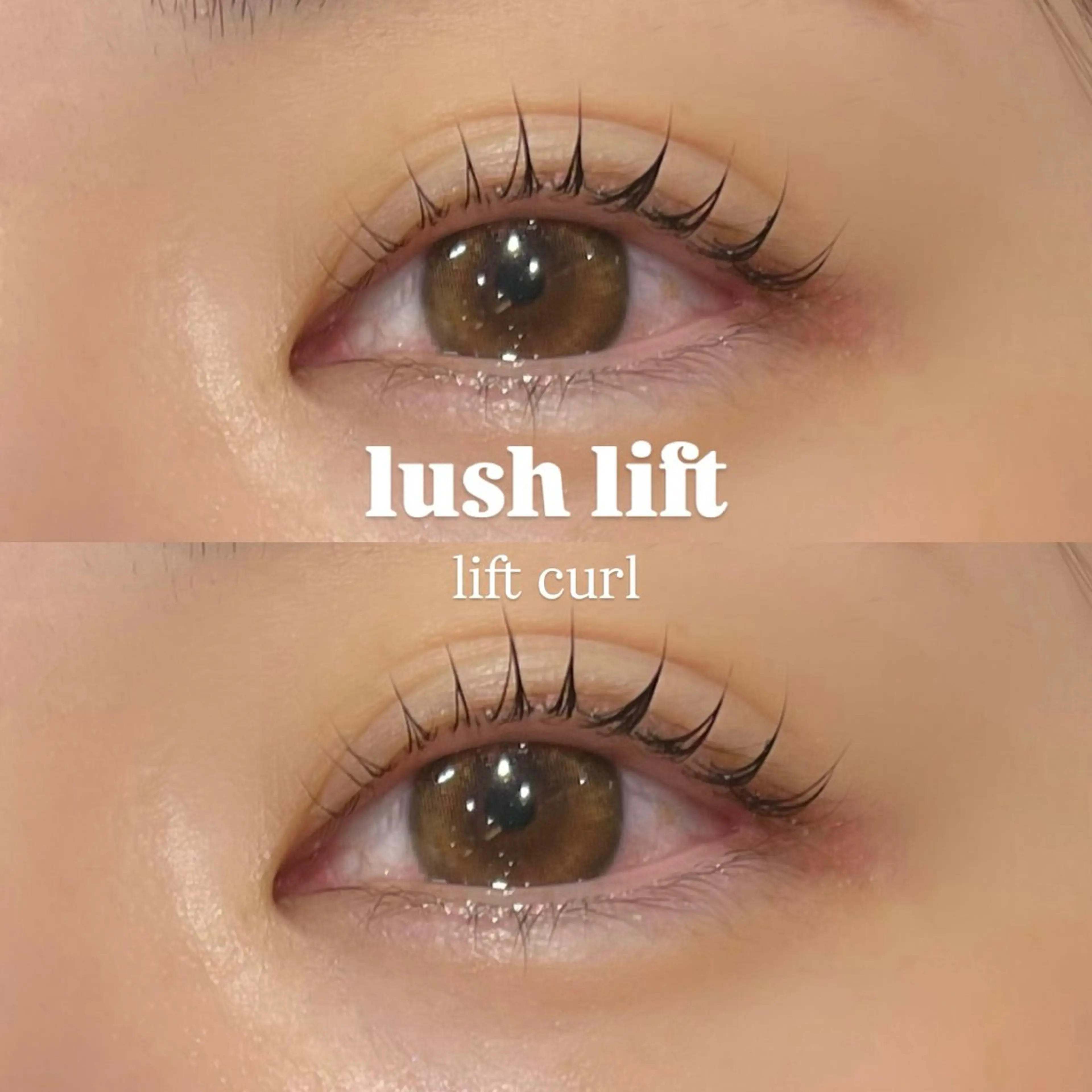 マツエク・マツパ まつげパーマ マツパ 🌿ayaki🌿 en Reveのマツエク・マツパデザイン