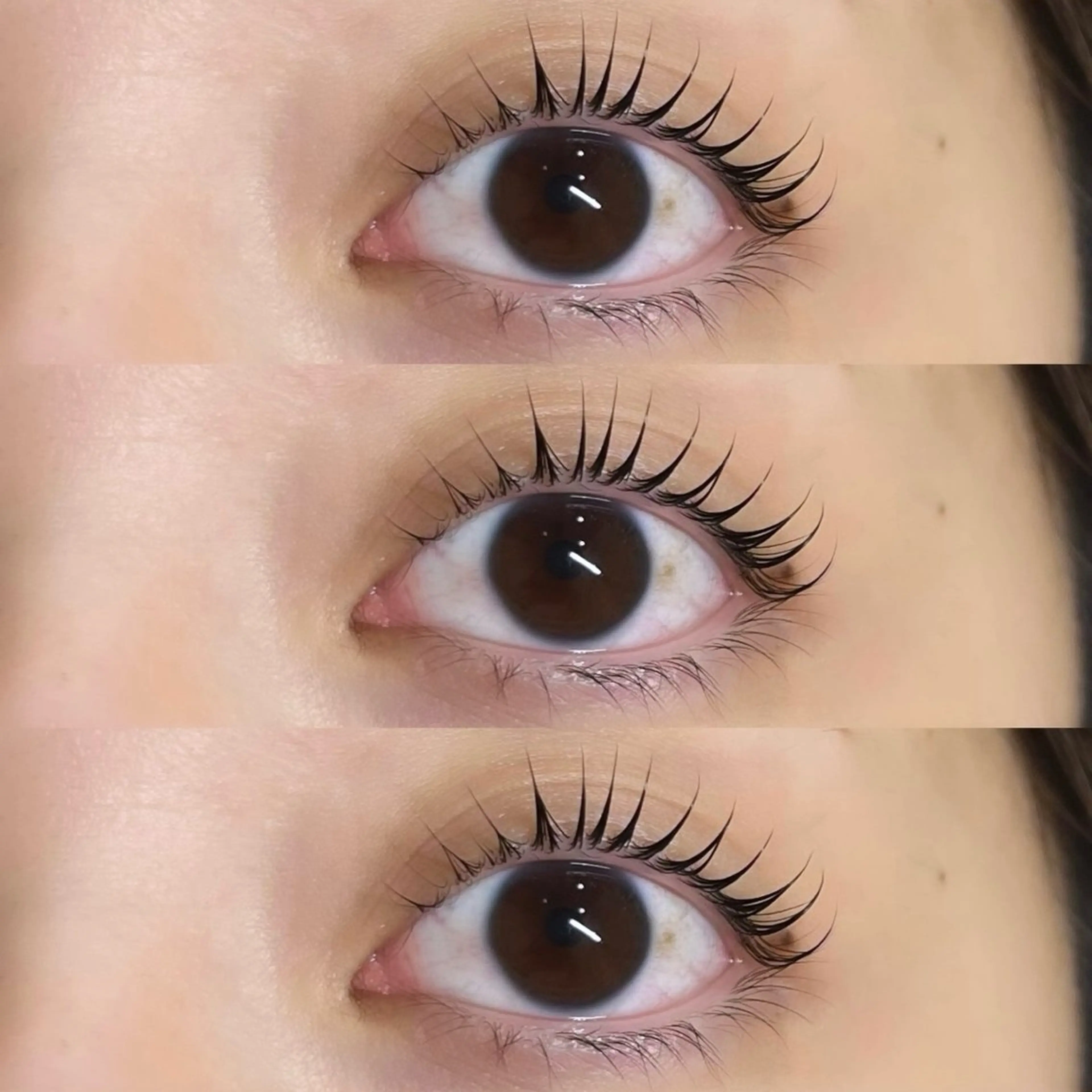 ⭐️韓国パーマ上下ラッシュリフト⭐️の写真