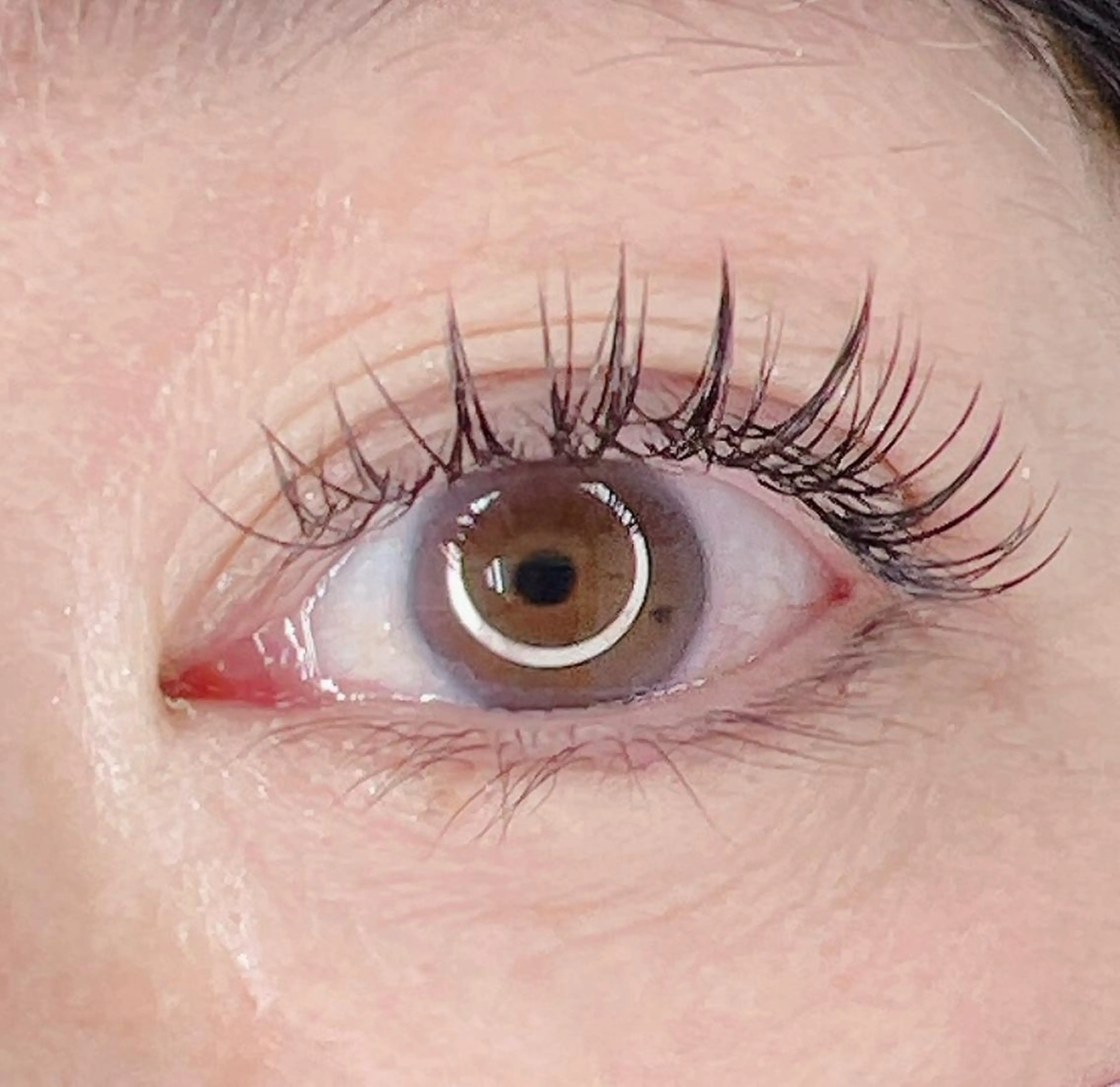 マツエク・マツパ ikoi yukaのヘアスタイル