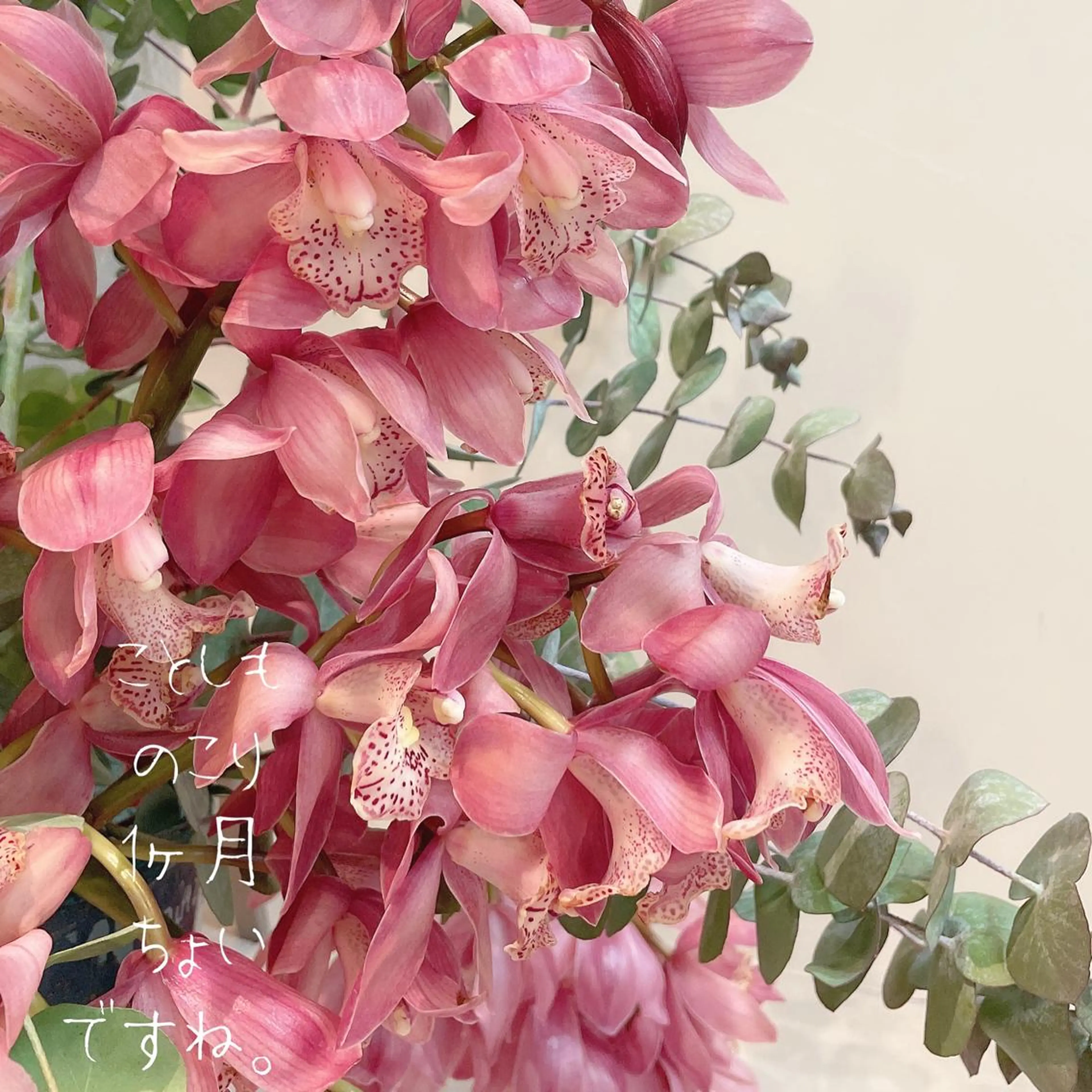 CHERIE所属・CHERIE Hisadaのエステ・リラクイメージ