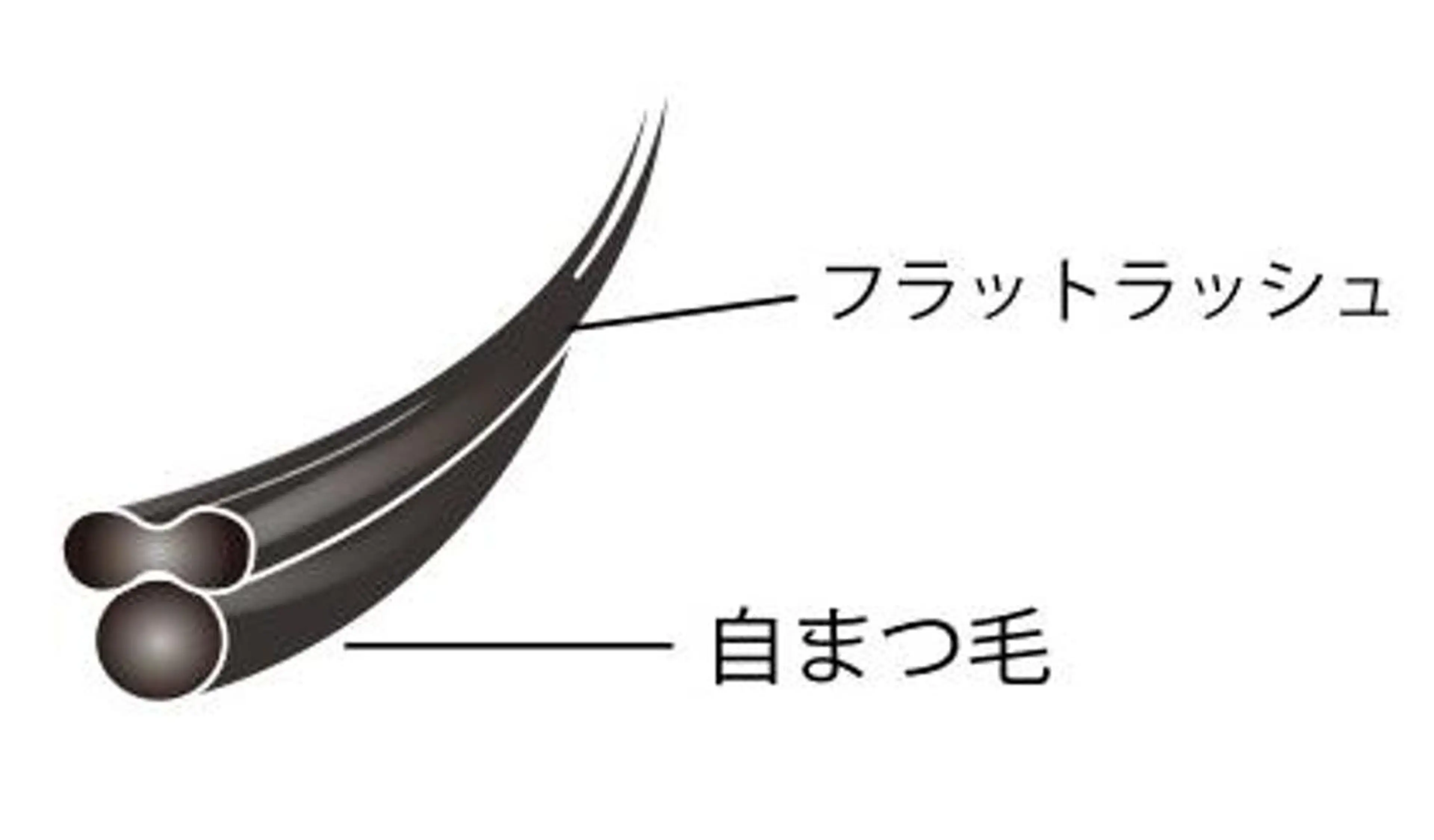 マツエク・マツパ ワンホンデザイン 専門店 FOIのマツエク・マツパデザイン