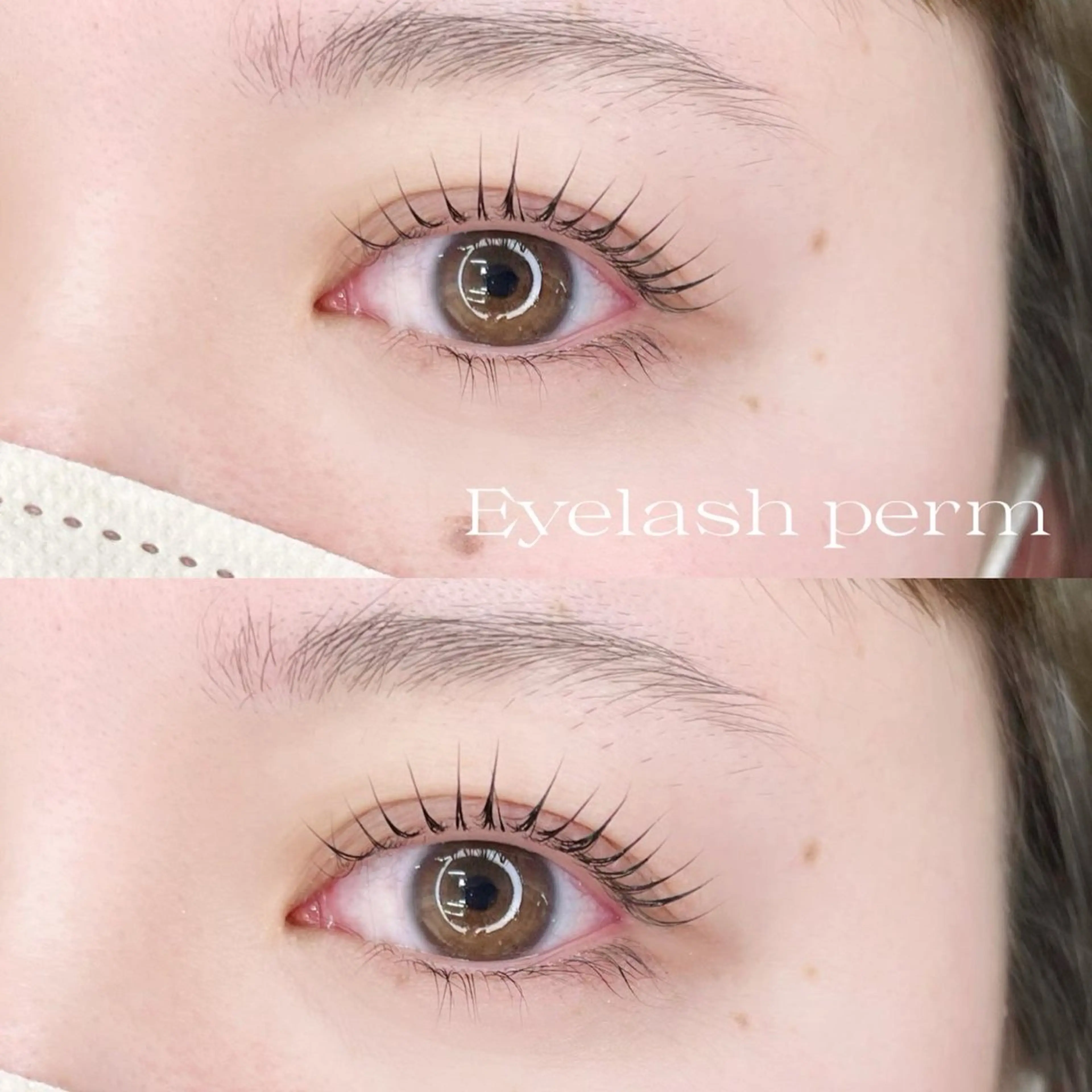 マツエク・マツパ share eyelash 天王寺所属・Rin🎀 ⠀のマツエク・マツパデザイン