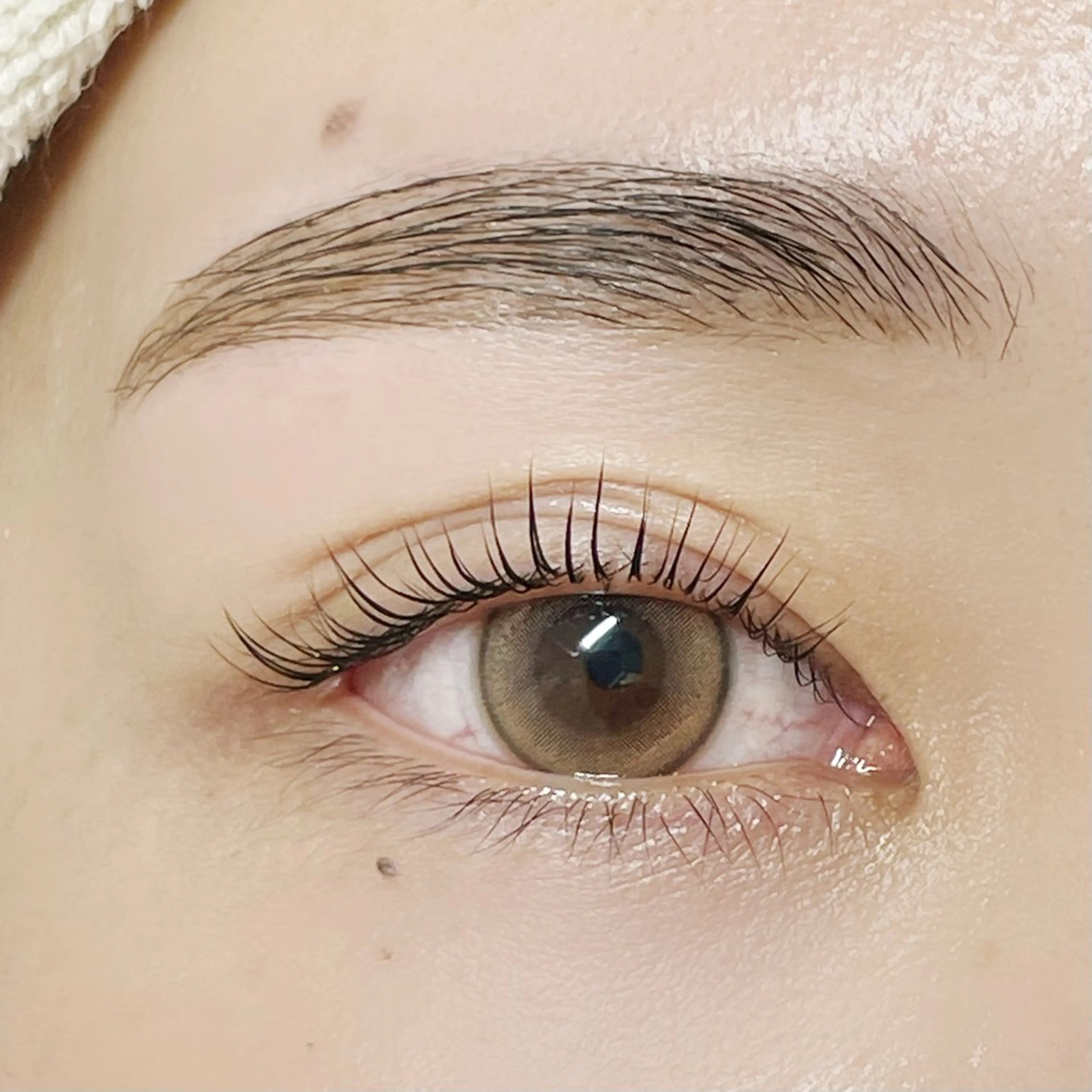 マツエク・マツパ パリジェンヌラッシュリフト NANA Milano所属・yuuka Fのマツエク・マツパデザイン