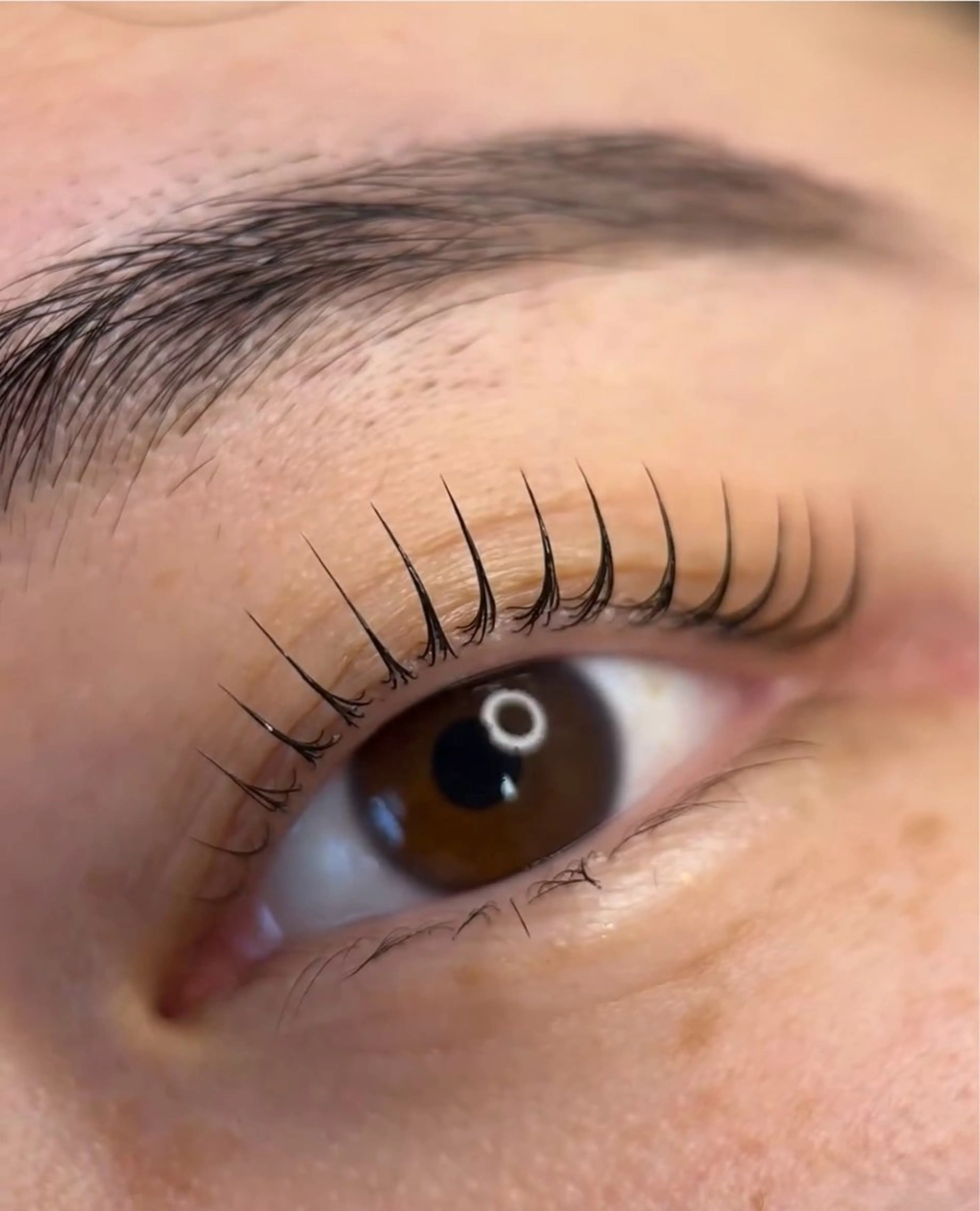 マツエク・マツパ ケラチンラッシュリフト 束感まつ毛 パリジェンヌラッシュリフト まつげパーマ マツパ 池袋💖 チルザルトサロンのマツエク・マツパデザイン