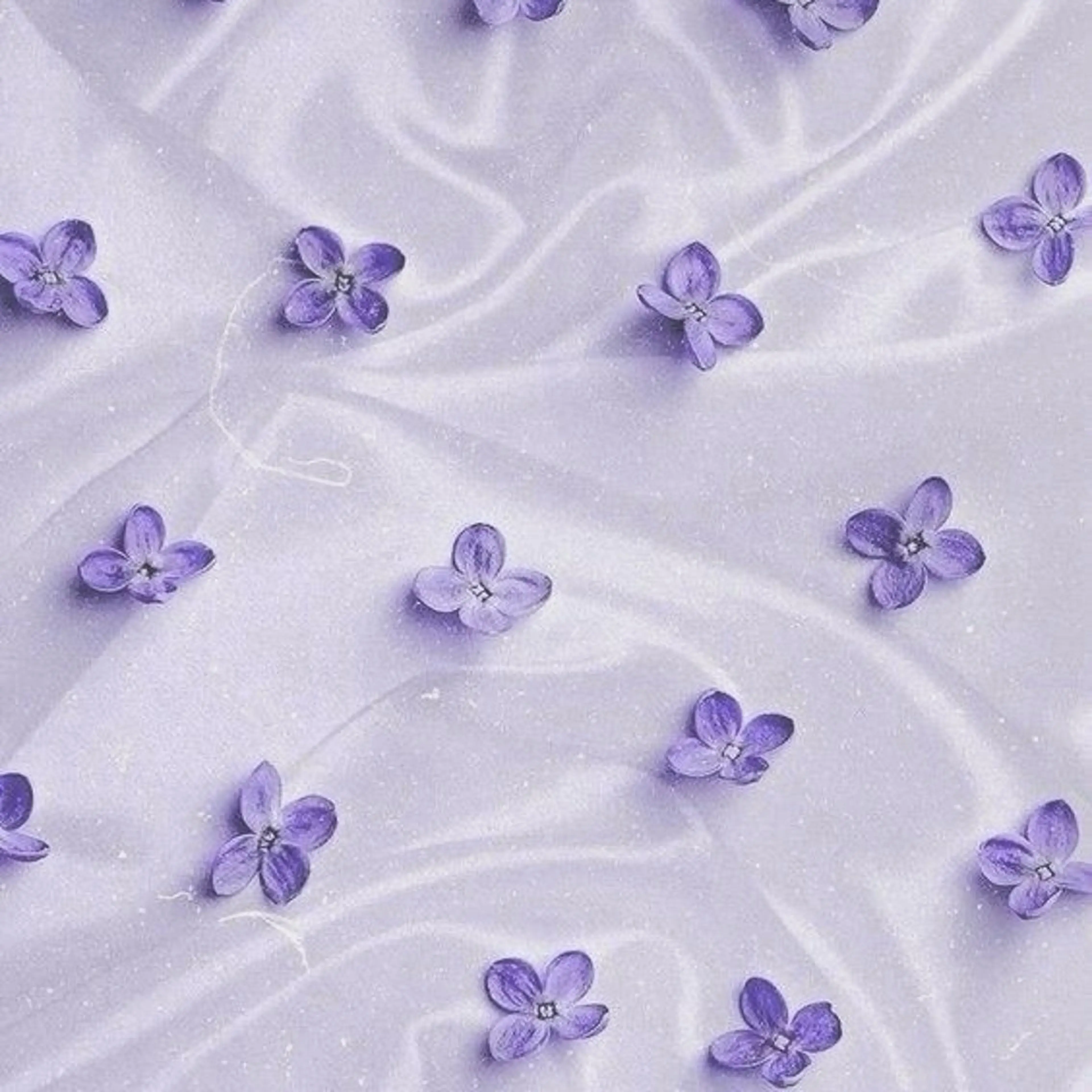 丸山 知夏のマツエク・マツパデザイン