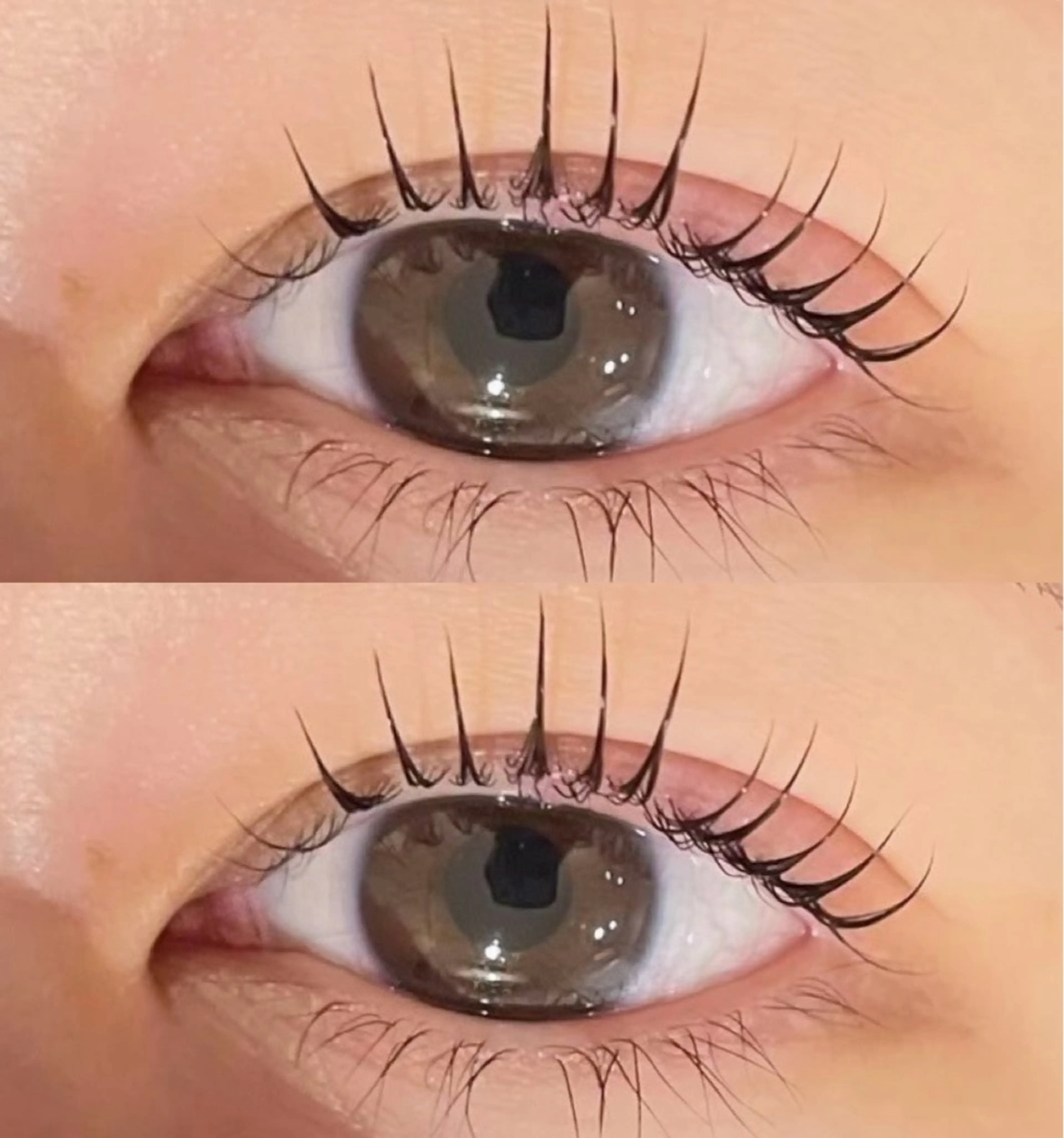 マツエク・マツパ パリジェンヌラッシュリフト eve🐰束間まつ毛 /透明感カラーのヘアスタイル