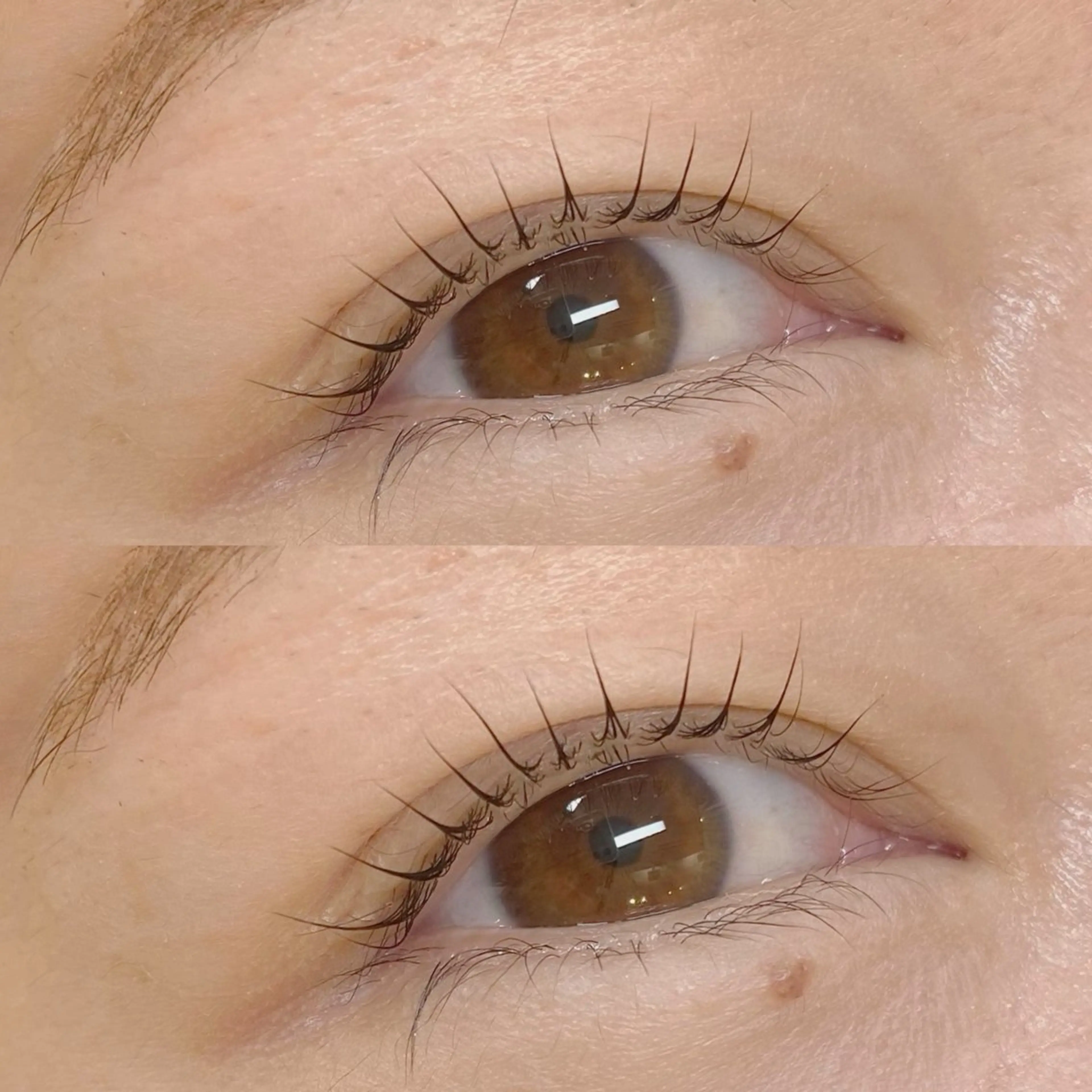 【当日限定価格！！】パリジェンヌ🩰🫧🪽の写真