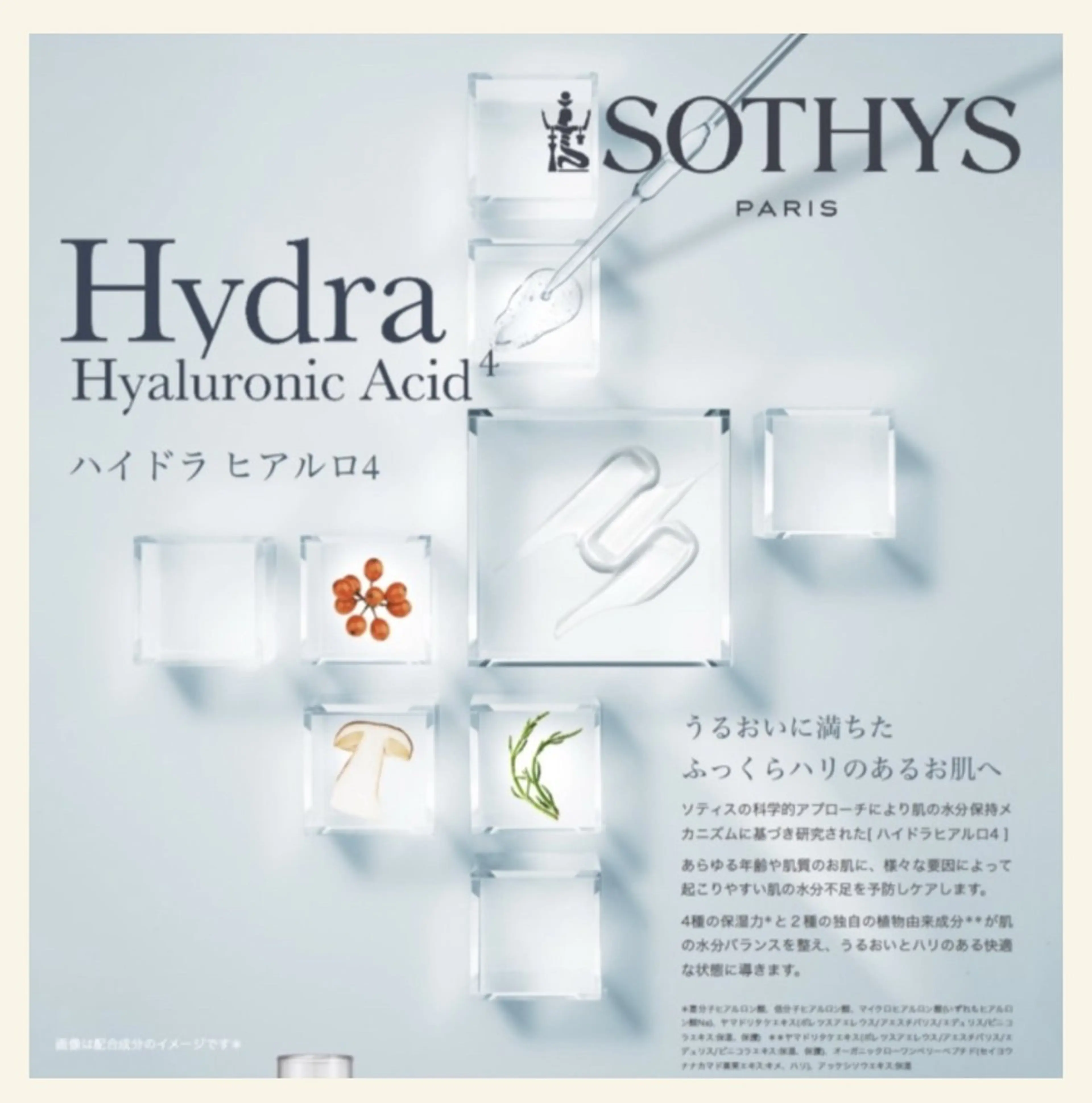 ラグジュアリー ソティスフェイシャル【ハイドラヒアルロ4】の写真