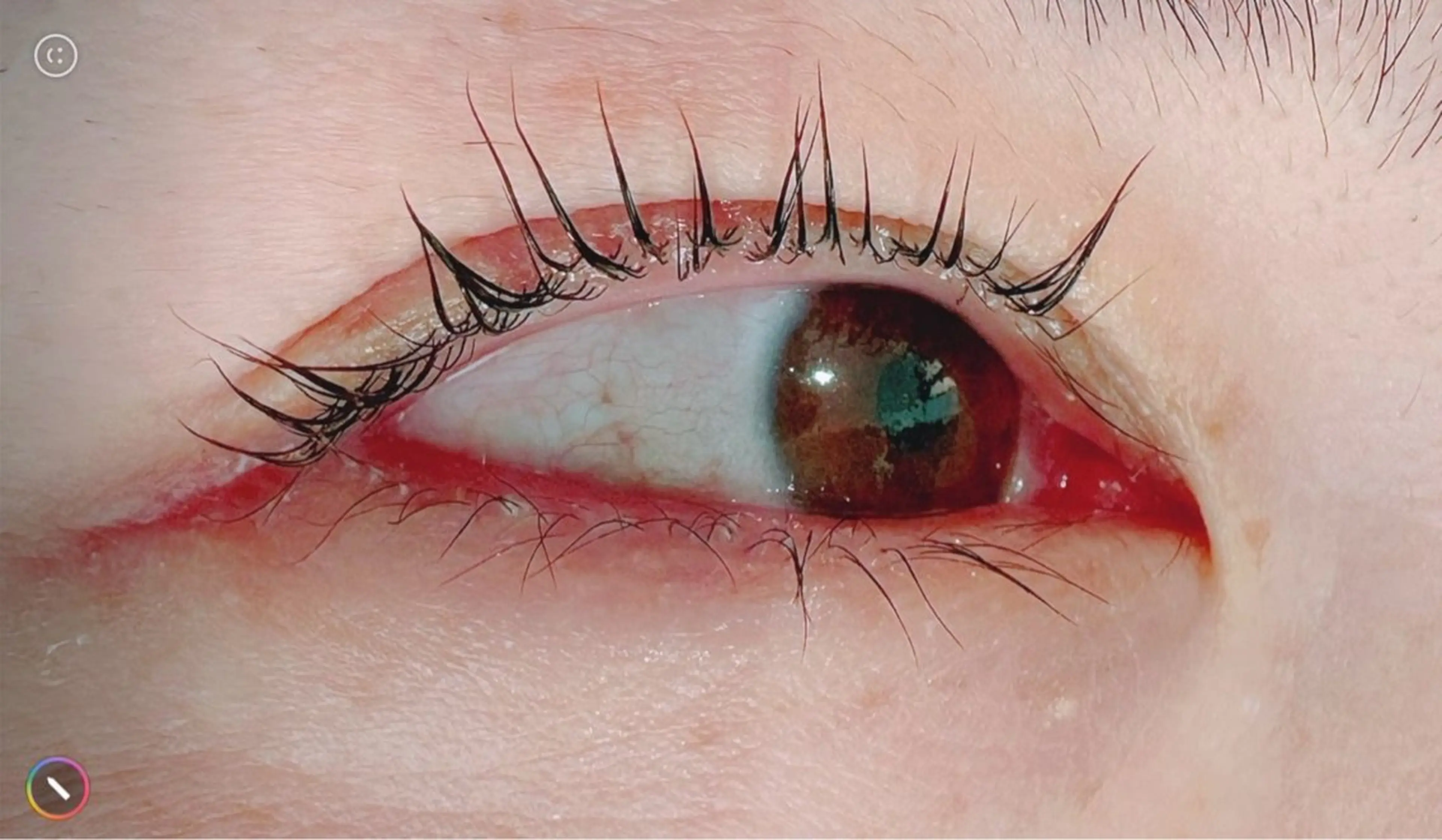 マツエク・マツパ 越川 玲奈のマツエク・マツパデザイン