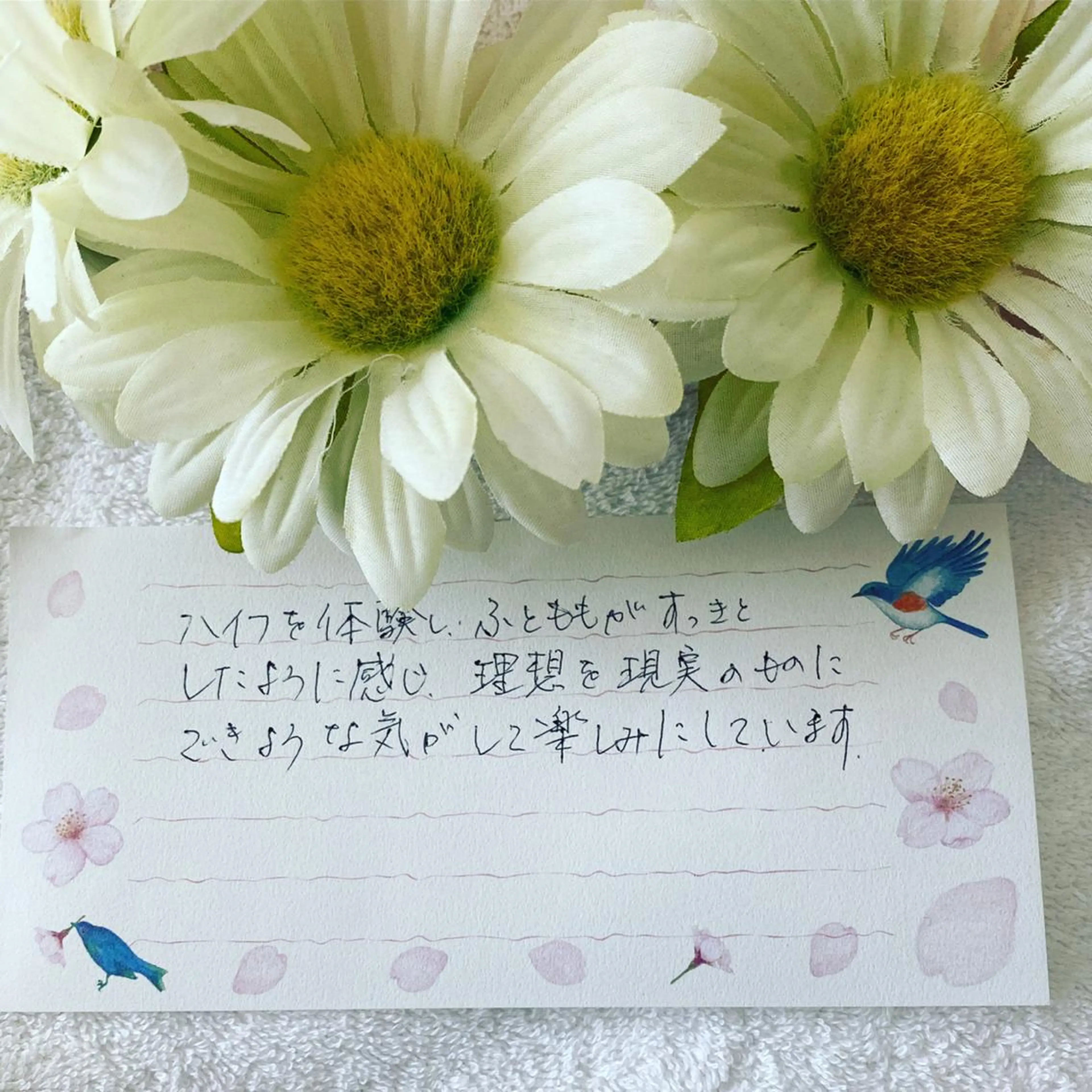 R E O T I A R A（レオティアラ）所属・高屋 昌子のその他イメージ