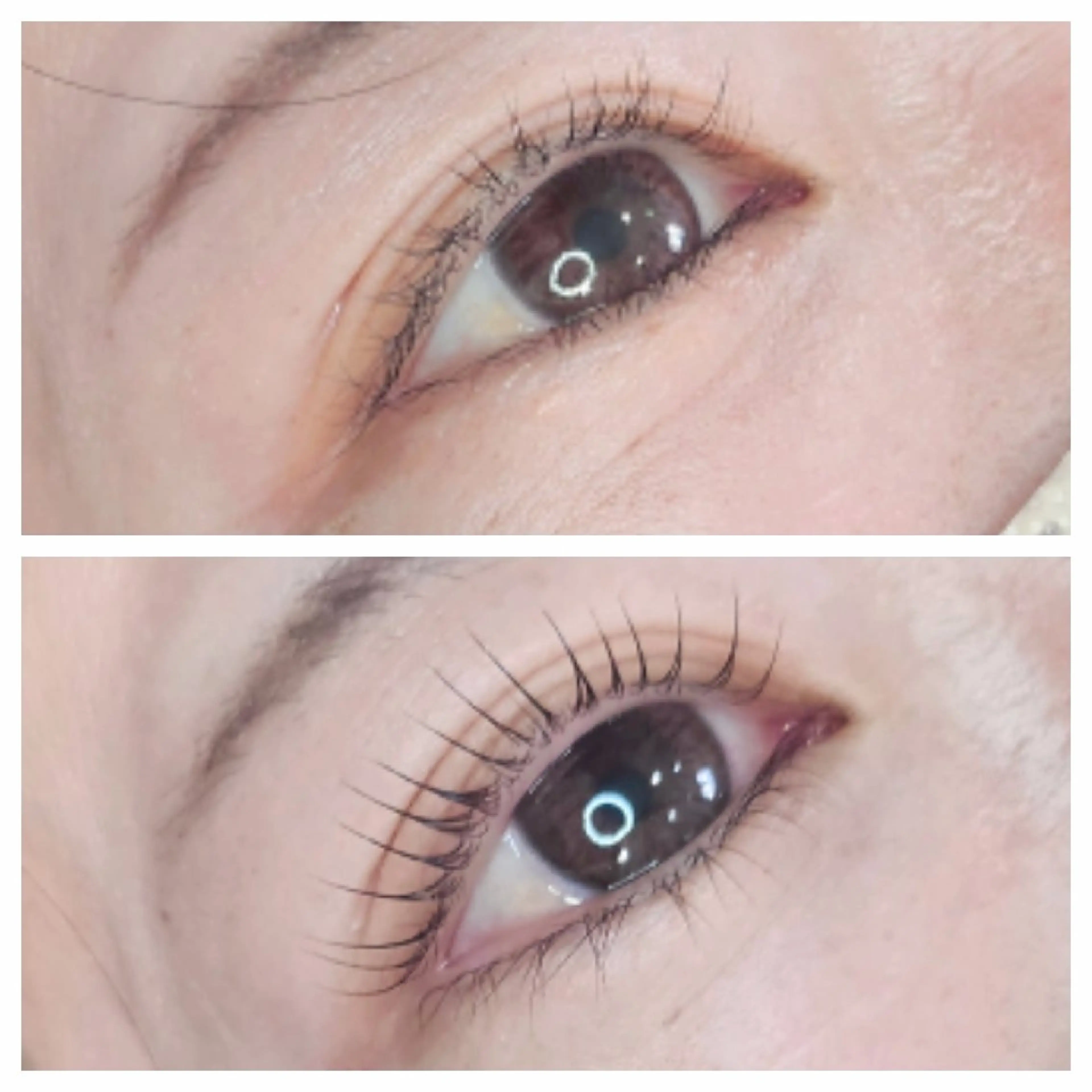 2回目まで同価格✨まつ毛パーマの写真