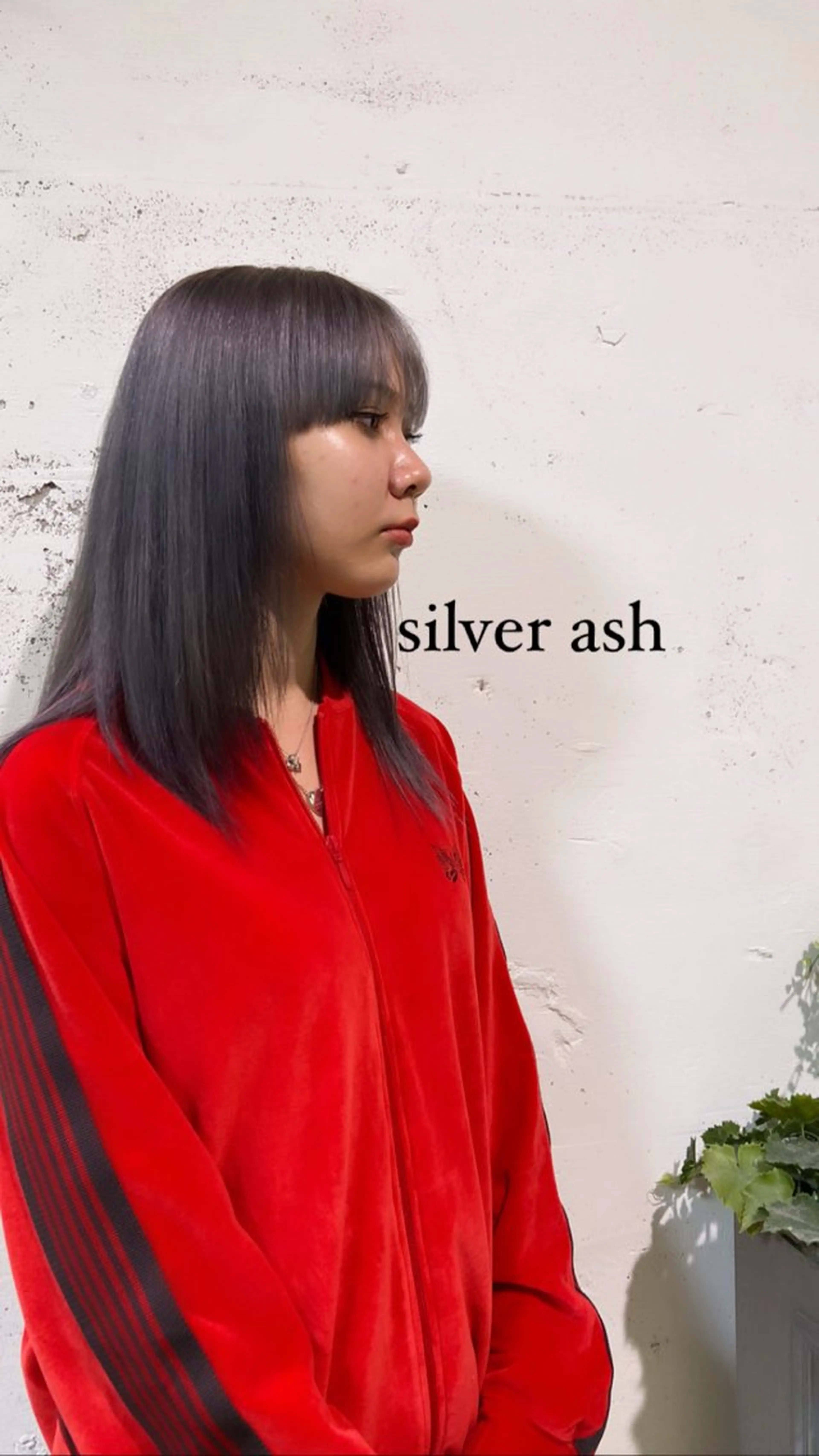 カラー ブリーチ ハイトーンカラー シルバー 髪質改善/オリーブ/ ウルフカット/カラーのヘアスタイル