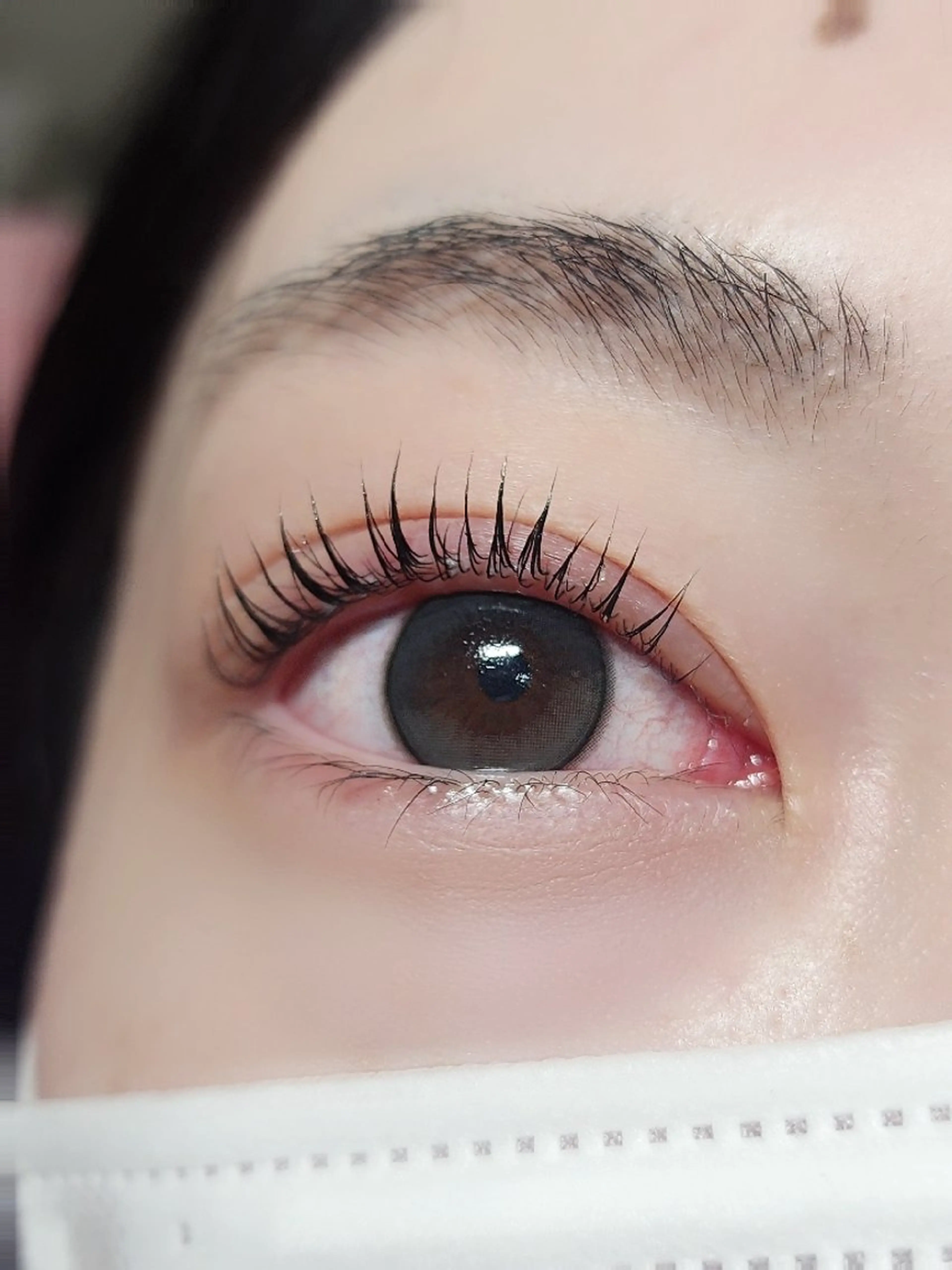 マツエク・マツパ 付け放題 バインドロック 束感まつ毛 カラーマツエク フラットラッシュ Ｍ salon アイラッシュのマツエク・マツパデザイン