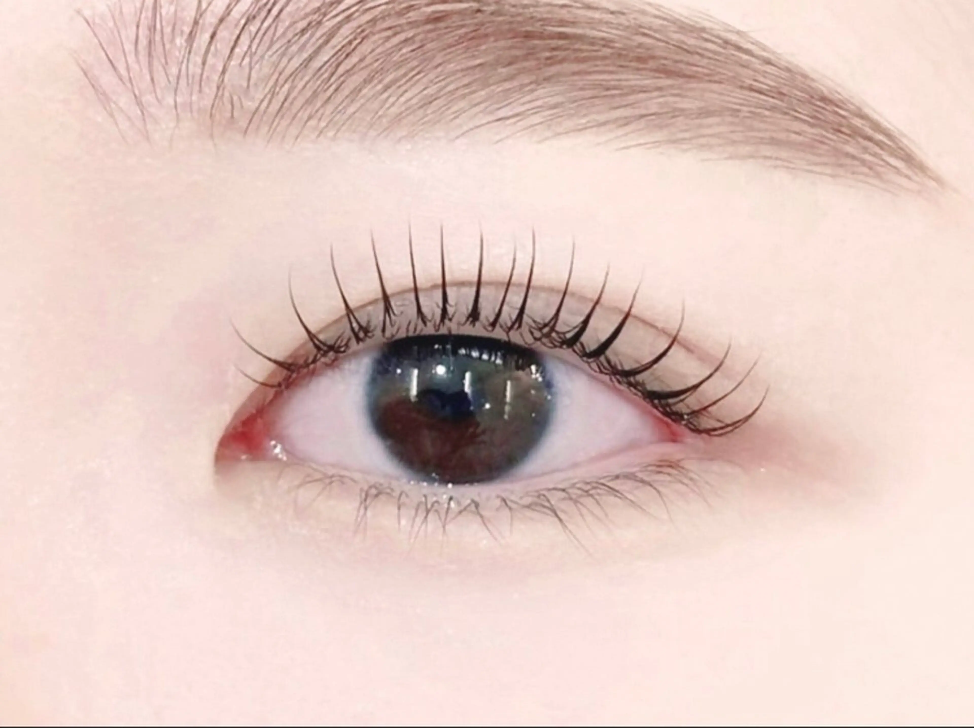 マツエク・マツパ マツパ アレグレス所属・アレグレス@池袋 🌹大人気店🌹のマツエク・マツパデザイン