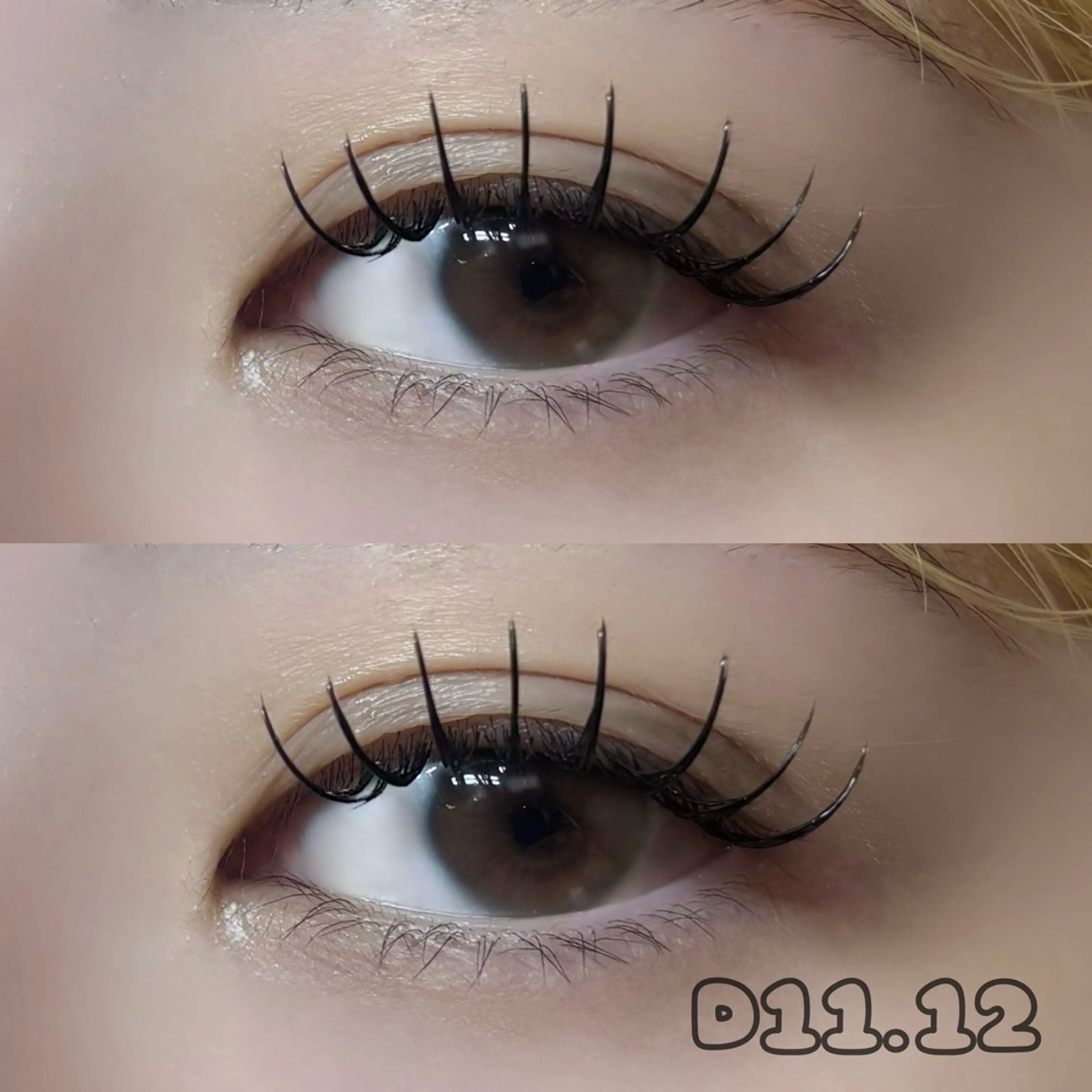 23.24.25限定🎀フラットラッシュシングルエクステ120本/付け足し◎の写真