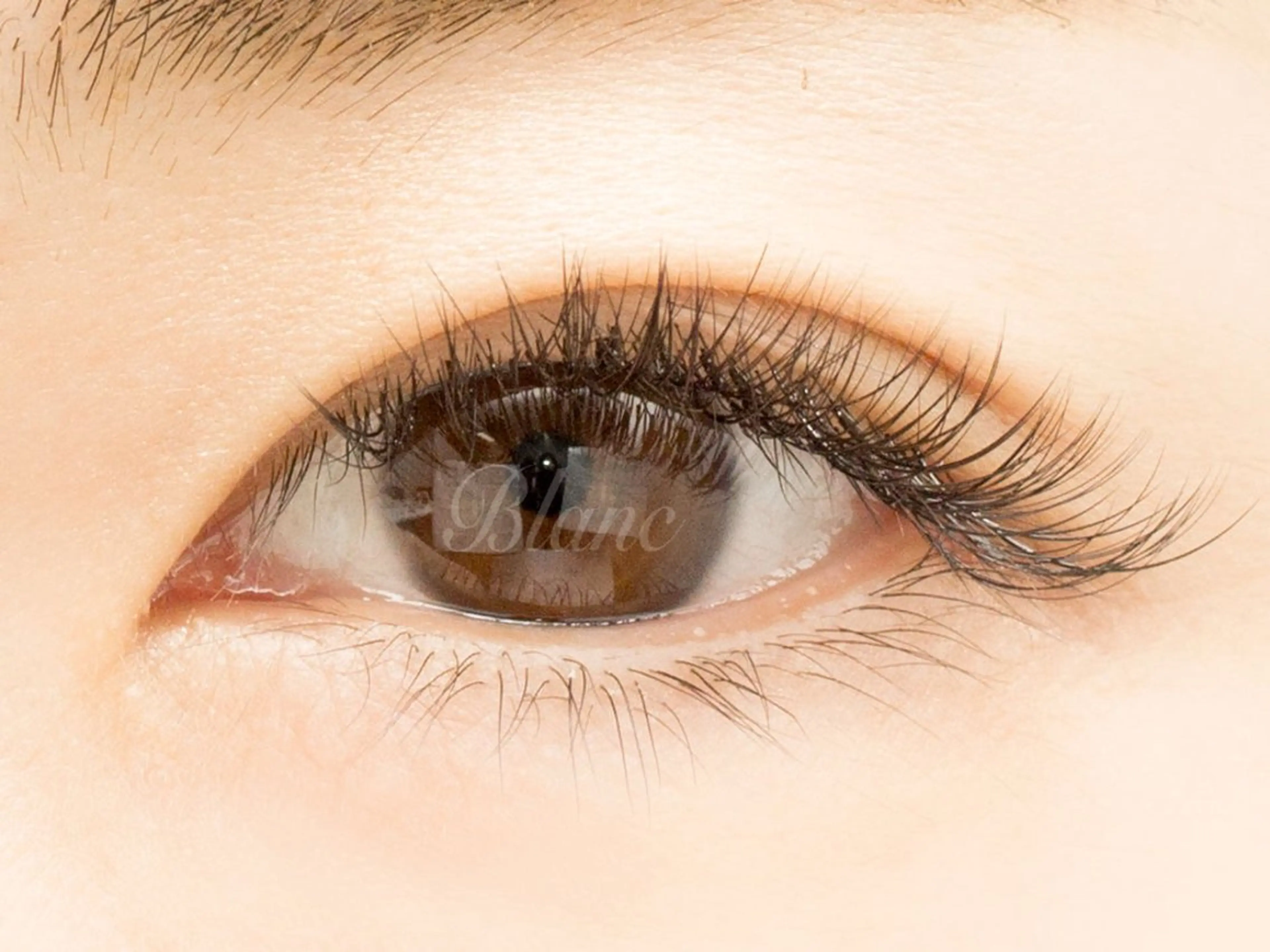 【無料練習モデル】4Dボリュームラッシュ=100束=の写真