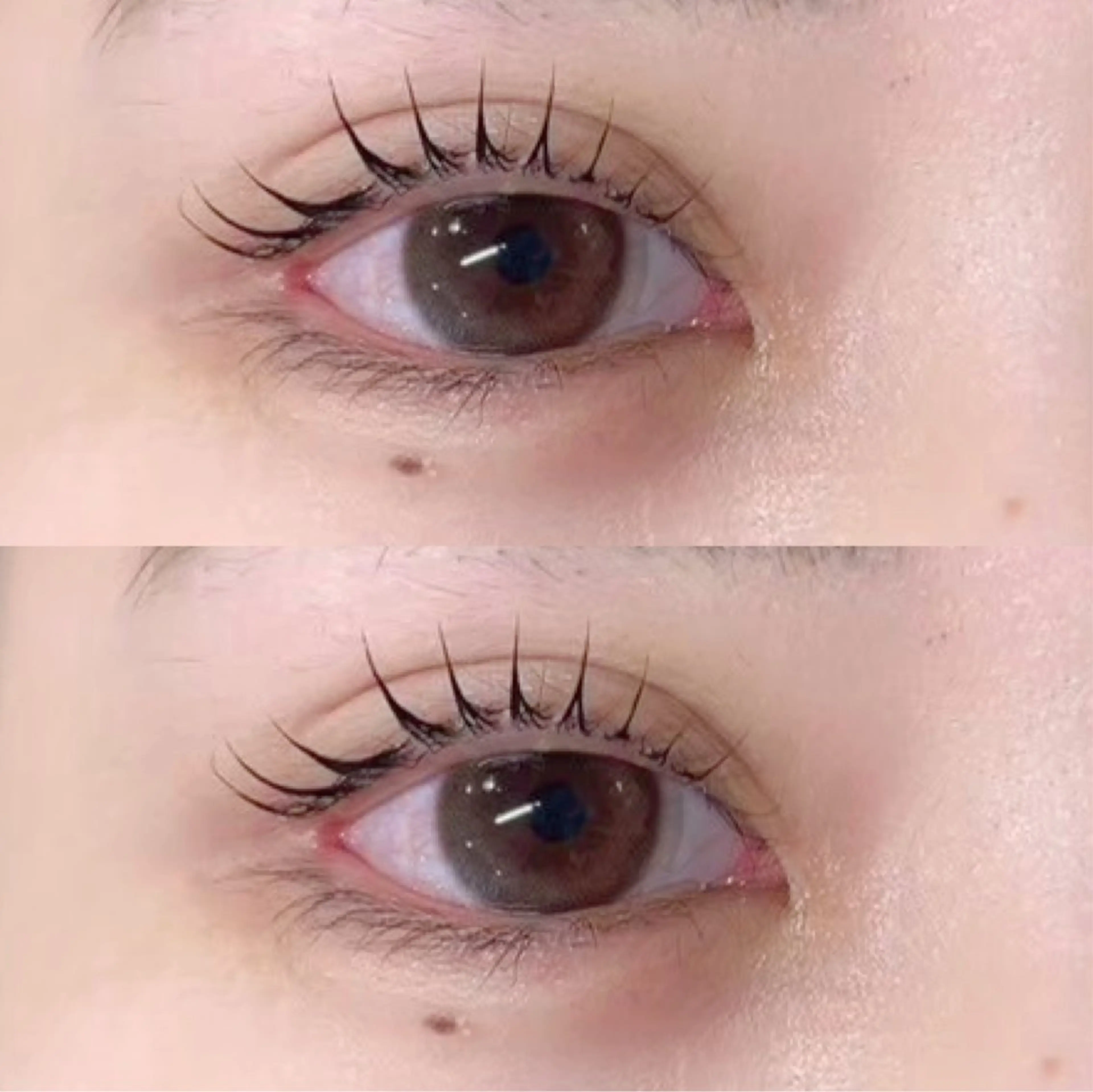 マツエク・マツパ バインドロック フラットラッシュ パリジェンヌラッシュリフト まつげパーマ 下まつげエクステ マツパ 🎀Lino 中目黒 TAKAMI🐈のマツエク・マツパデザイン