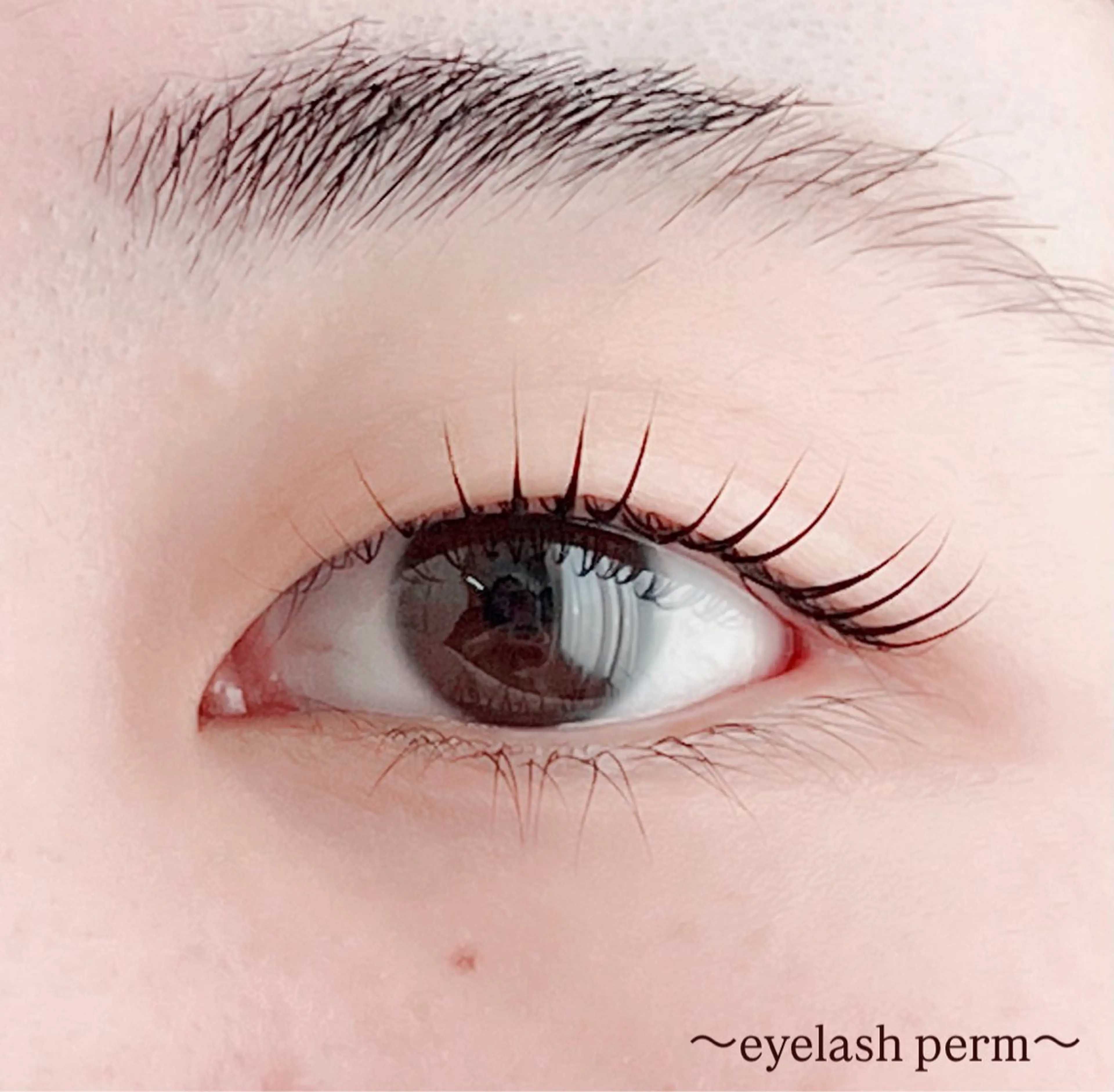 マツエク・マツパ 田村 莉子のマツエク・マツパデザイン