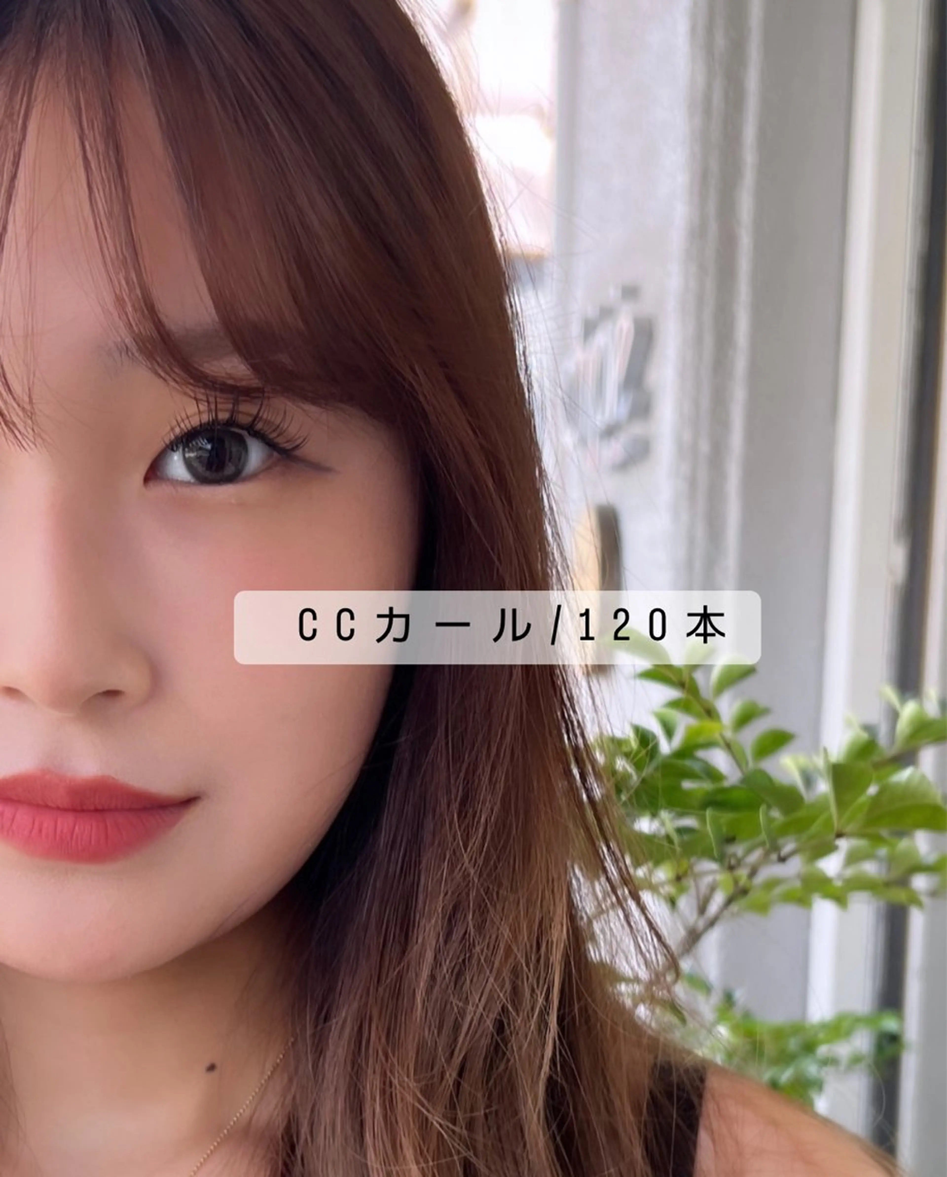 マツエク・マツパ CCカール Cカール マツエク chipie by anon所属・chipie by anon 春日原のマツエク・マツパデザイン