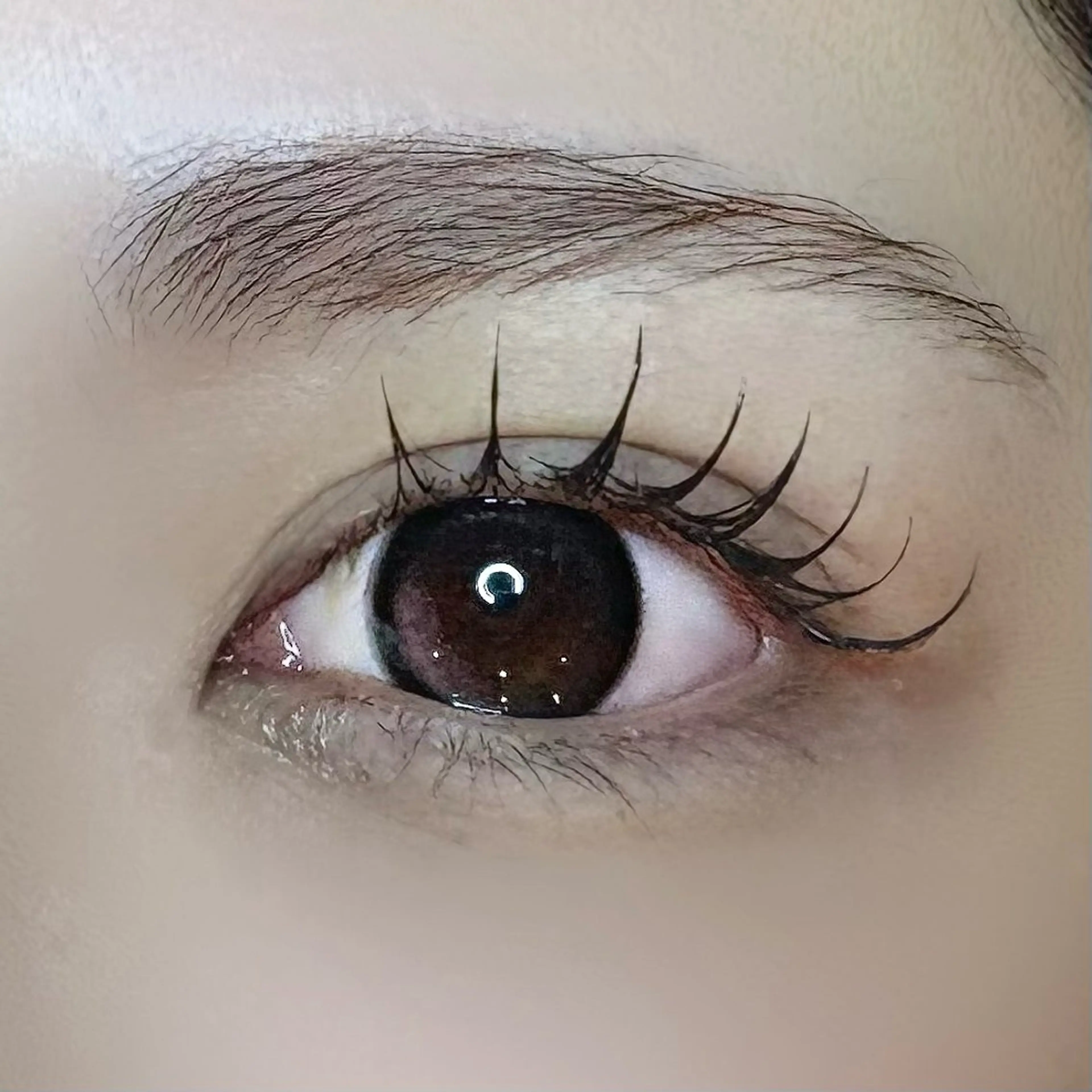 マツエク・マツパ フラットラッシュ まつ毛専門店 NANA所属・Otoha🎀🥣  ︎のマツエク・マツパデザイン