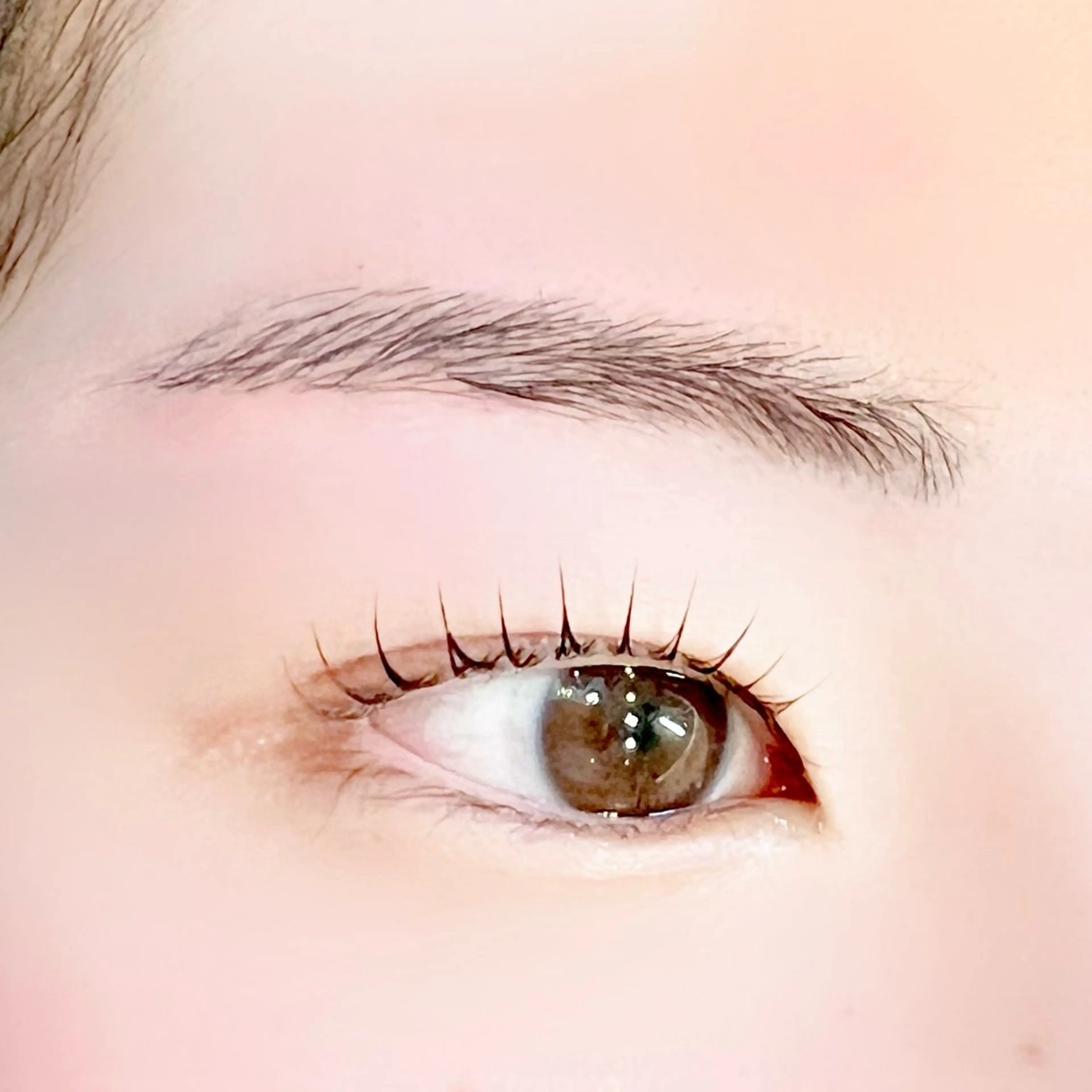 マツエク・マツパ 一重×まつ毛パーマ マツパ NEIGE 大湾のマツエク・マツパデザイン