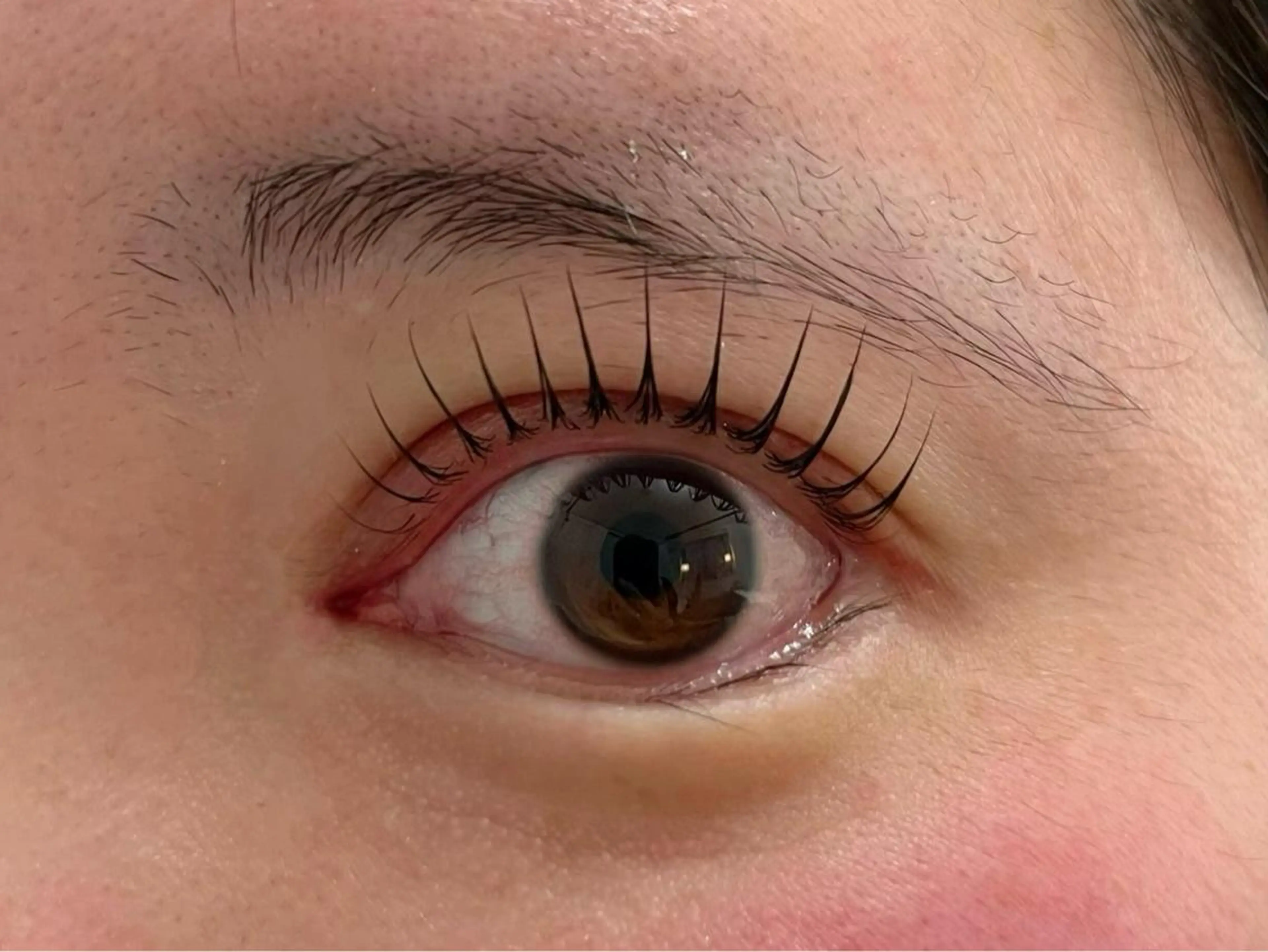 マツエク・マツパ Eye'llbe lash《アイビーラッシュ》所属・Eye'llbe lashのその他イメージ