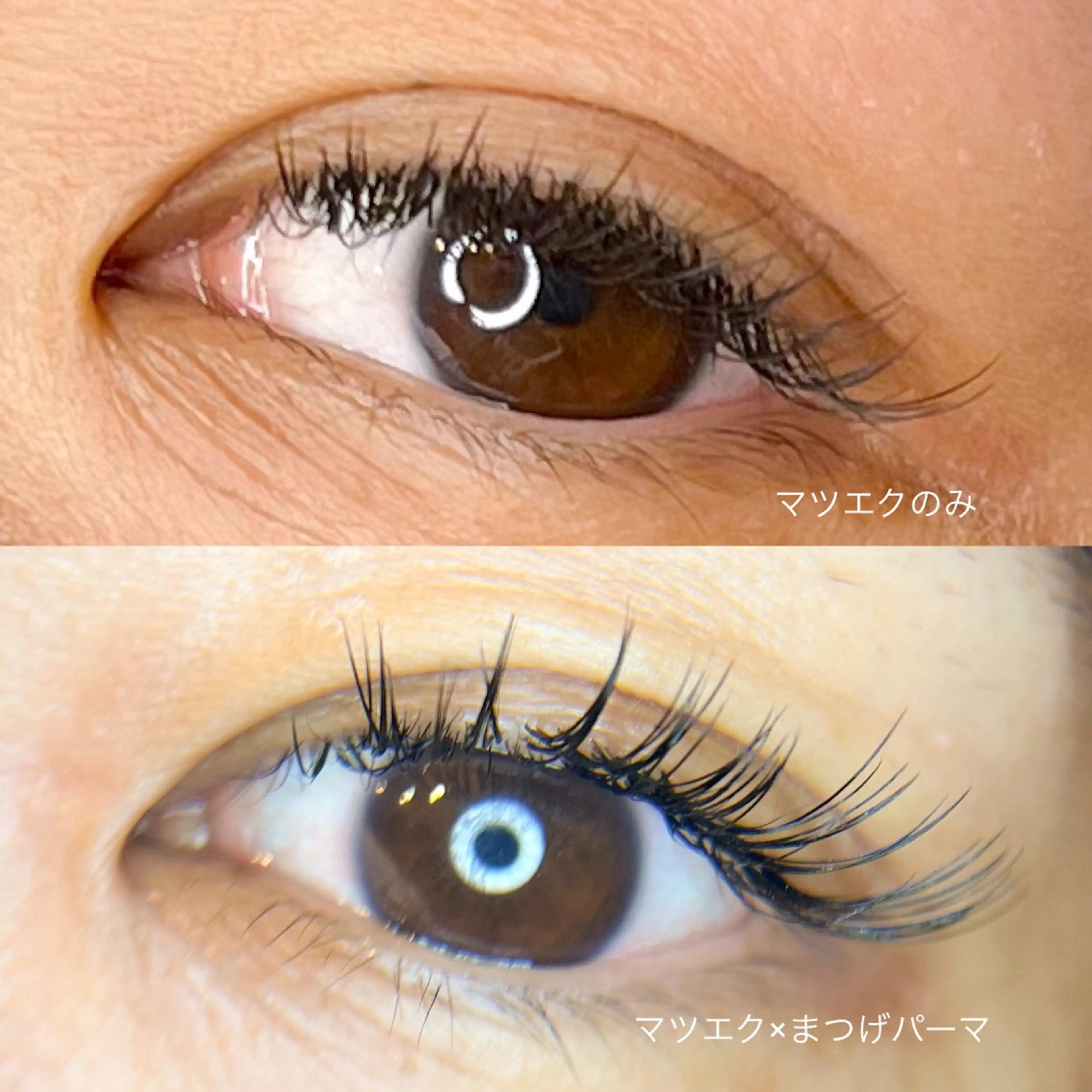 まつげが下がってしまう方におすすめ◎まつげパーマ&フラットラッシュ120本/オフ込み➰の写真